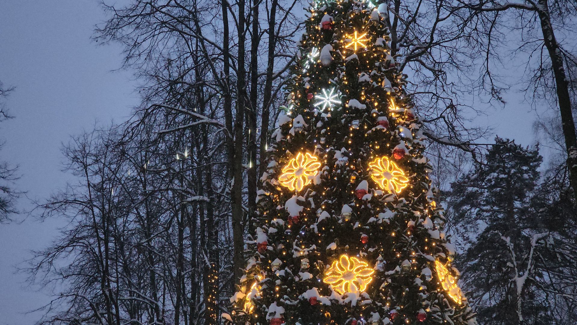 красногорск, городской парк, новый год,Вертикалка, Вертикальное видео,