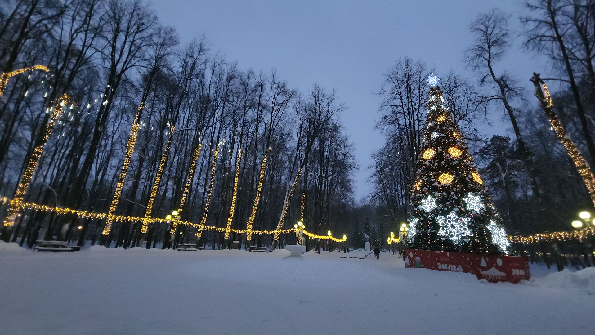 красногорск, городской парк, новый год,Вертикалка, Вертикальное видео,