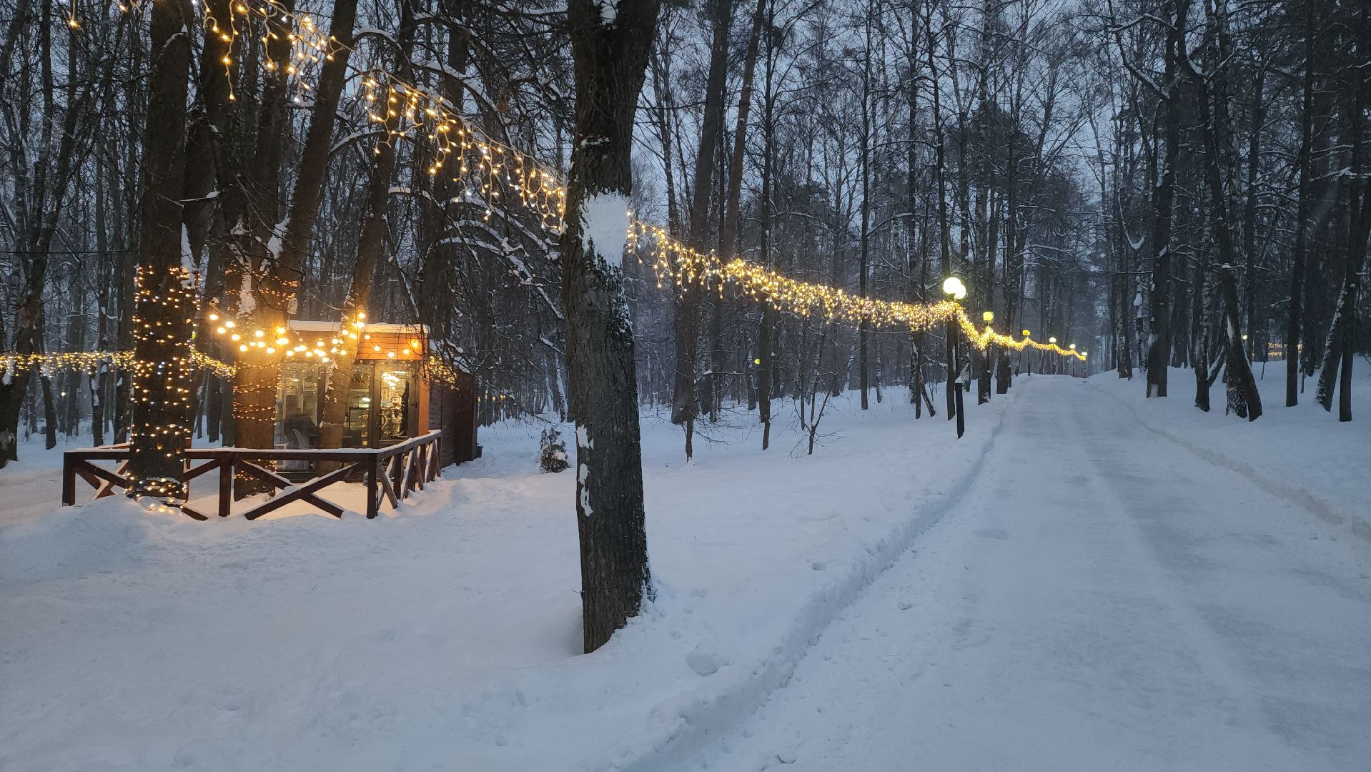 красногорск, городской парк, новый год,Вертикалка, Вертикальное видео,