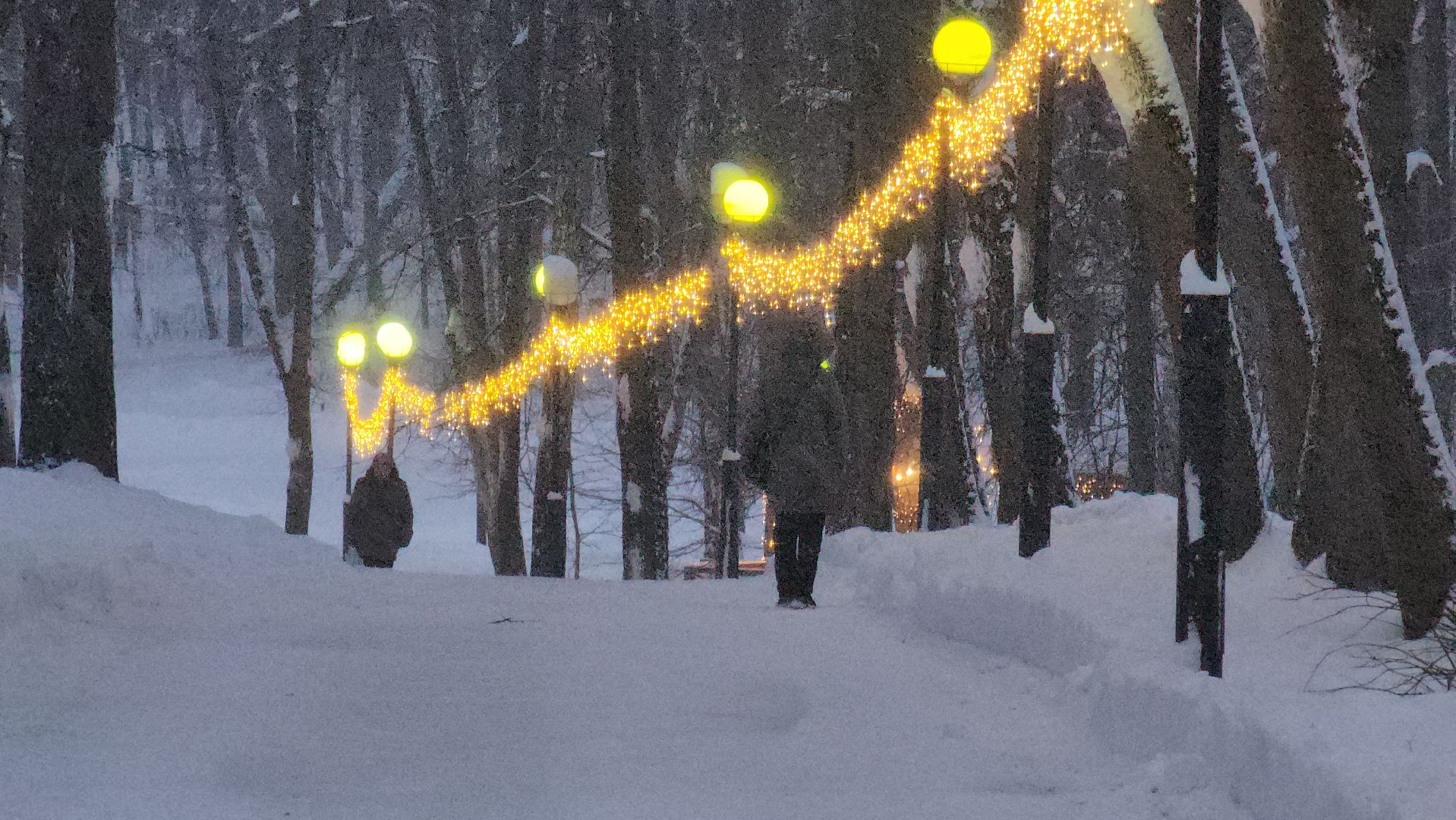 красногорск, городской парк, новый год,Вертикалка, Вертикальное видео,