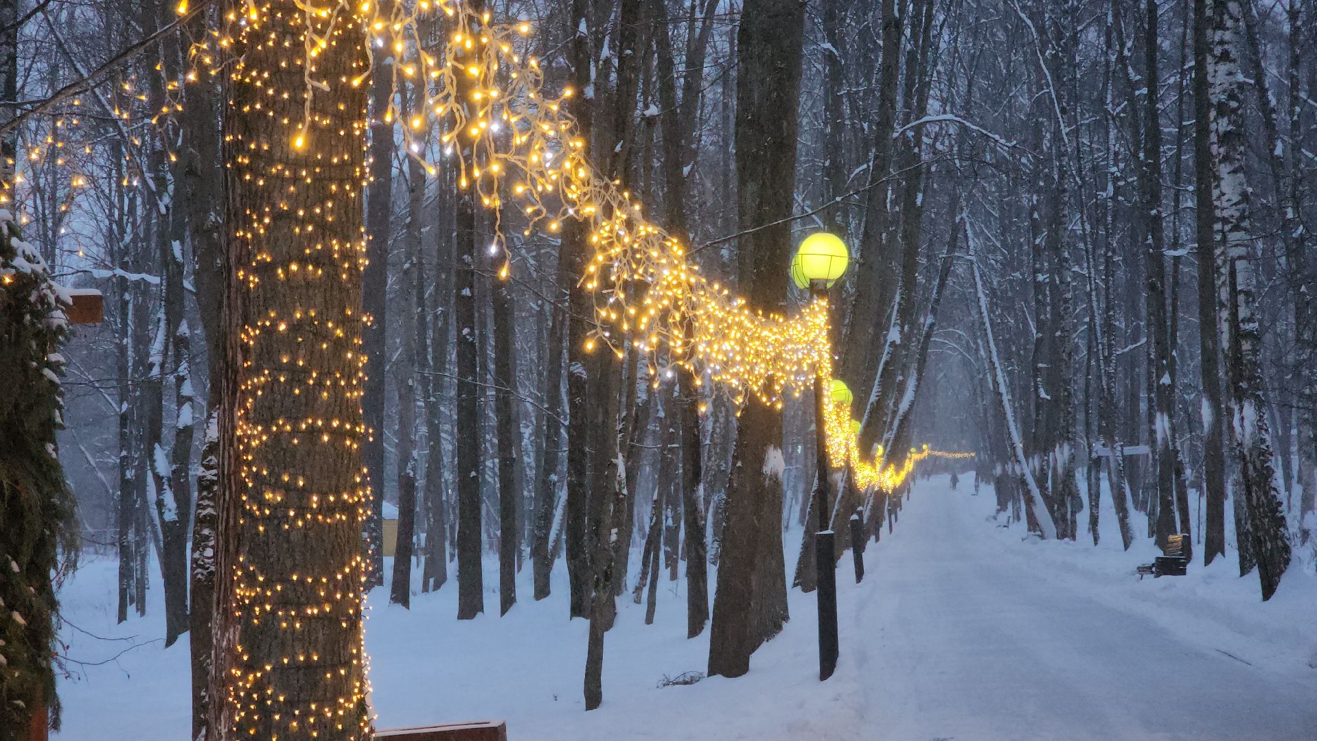 красногорск, городской парк, новый год,Вертикалка, Вертикальное видео,
