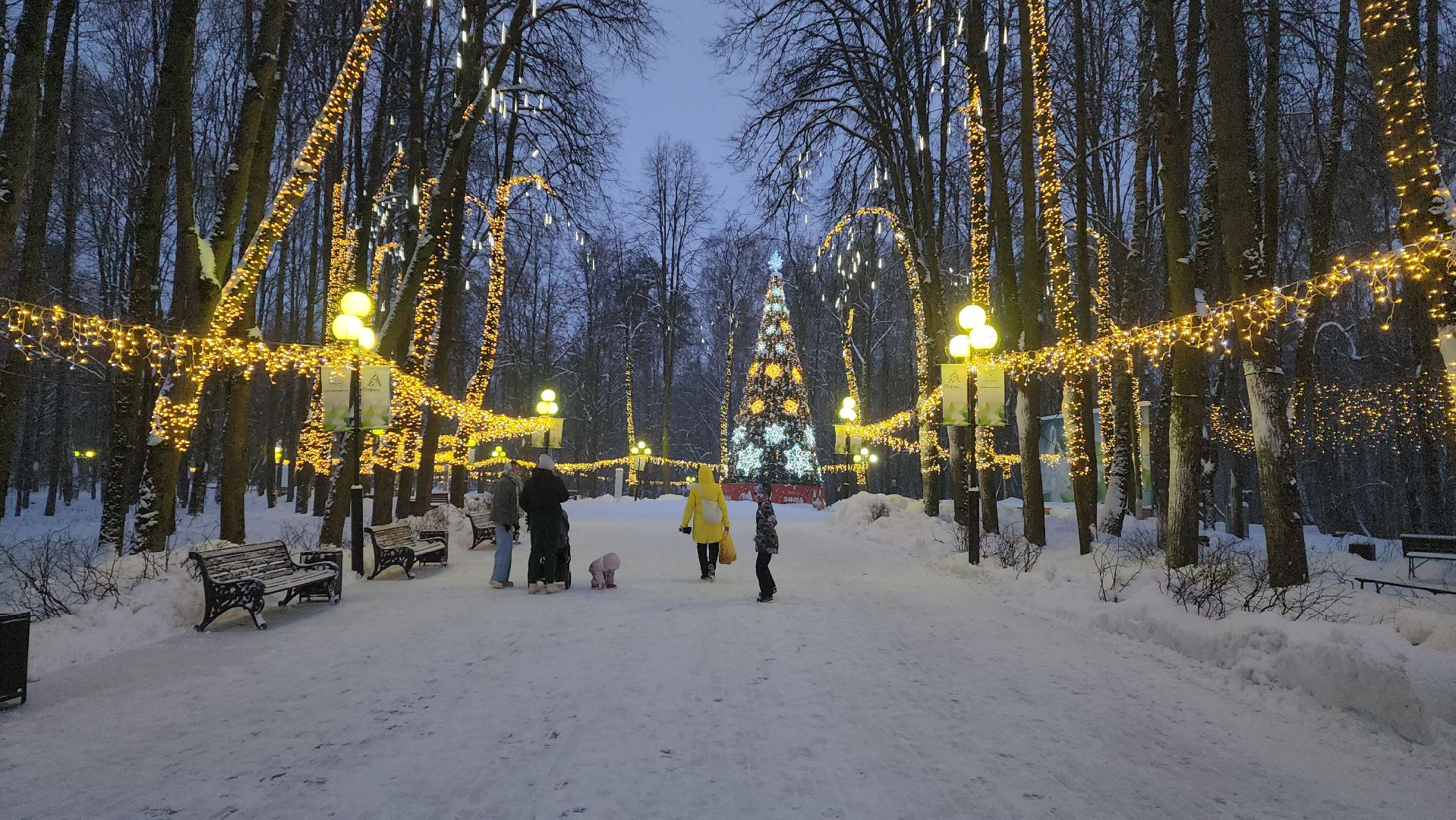 красногорск, городской парк, новый год,Вертикалка, Вертикальное видео,