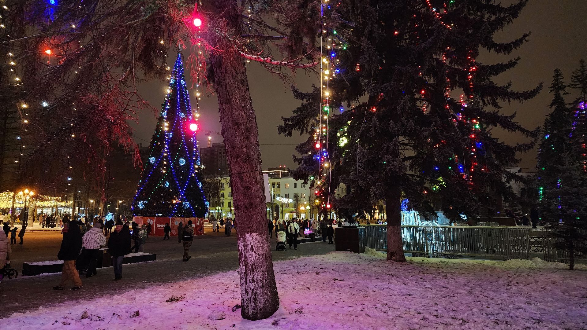 ступино, зима в подмосковье, елки,