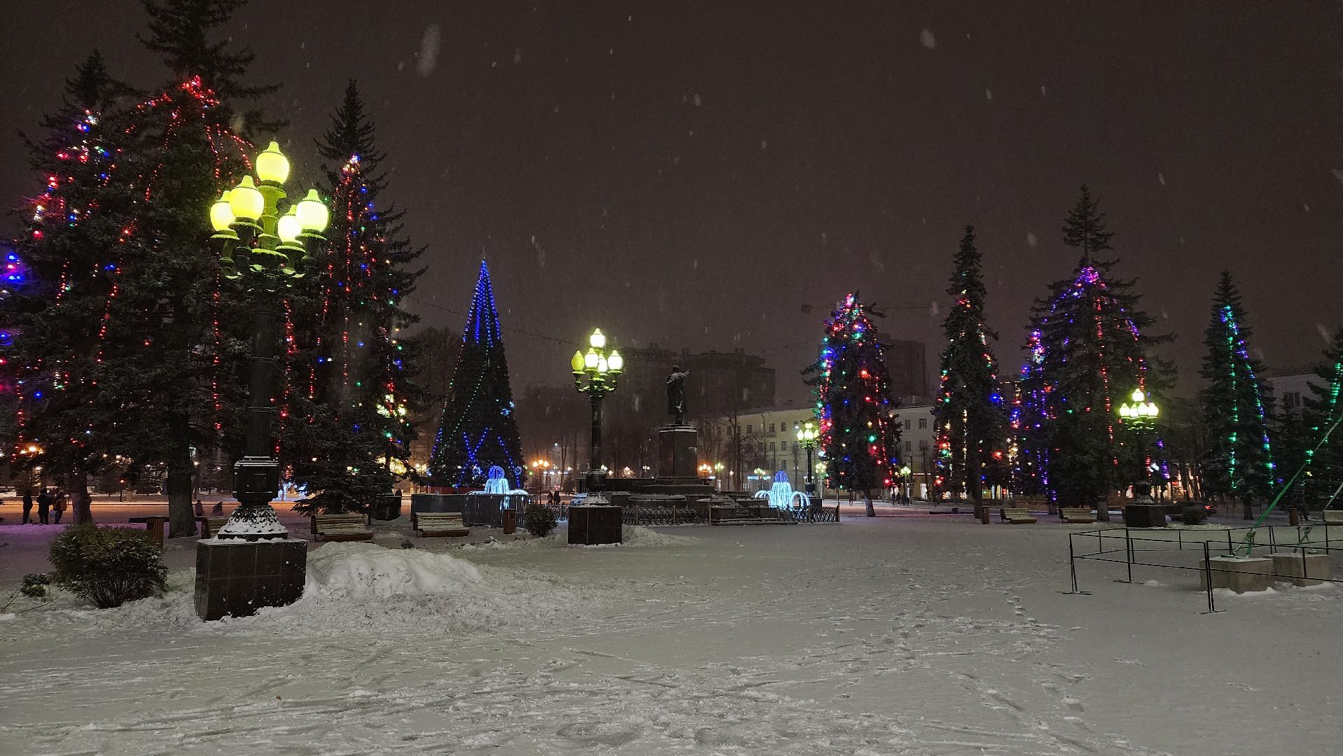 ступино, зима в подмосковье, елки,