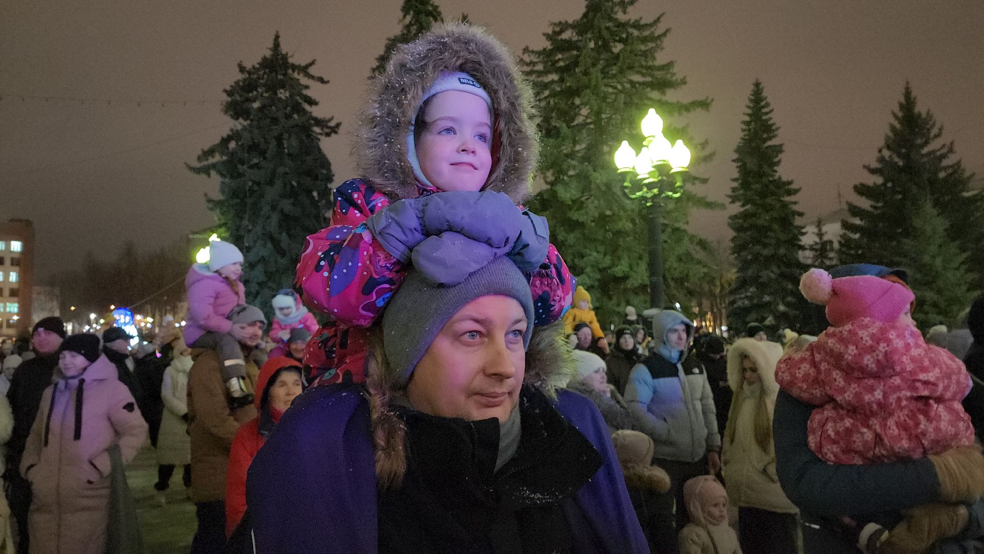 ступино, зима в подмосковье, елки,