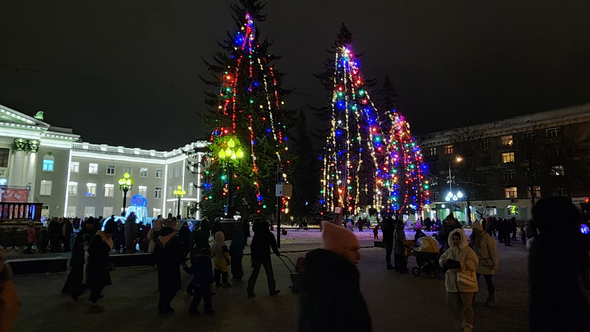 ступино, зима в подмосковье, елки,