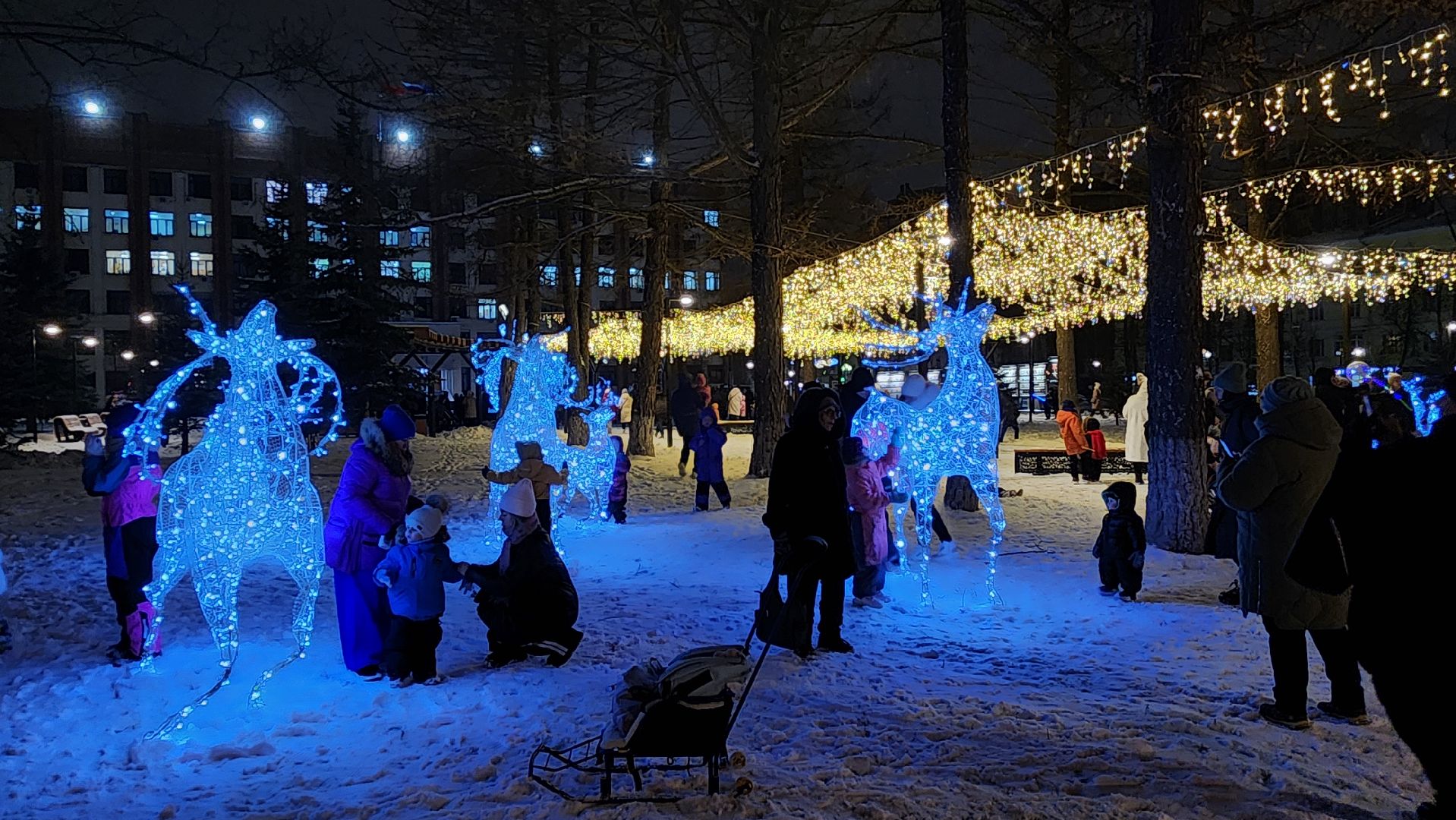 ступино, зима в подмосковье, елки,