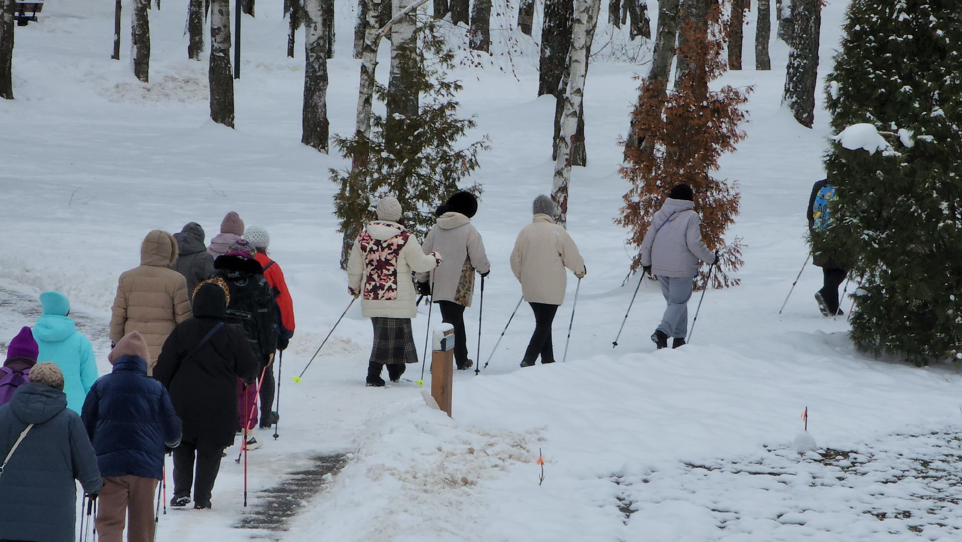 скандинавская ходьба, Мастер-класс, спорт на улице, Лобня,