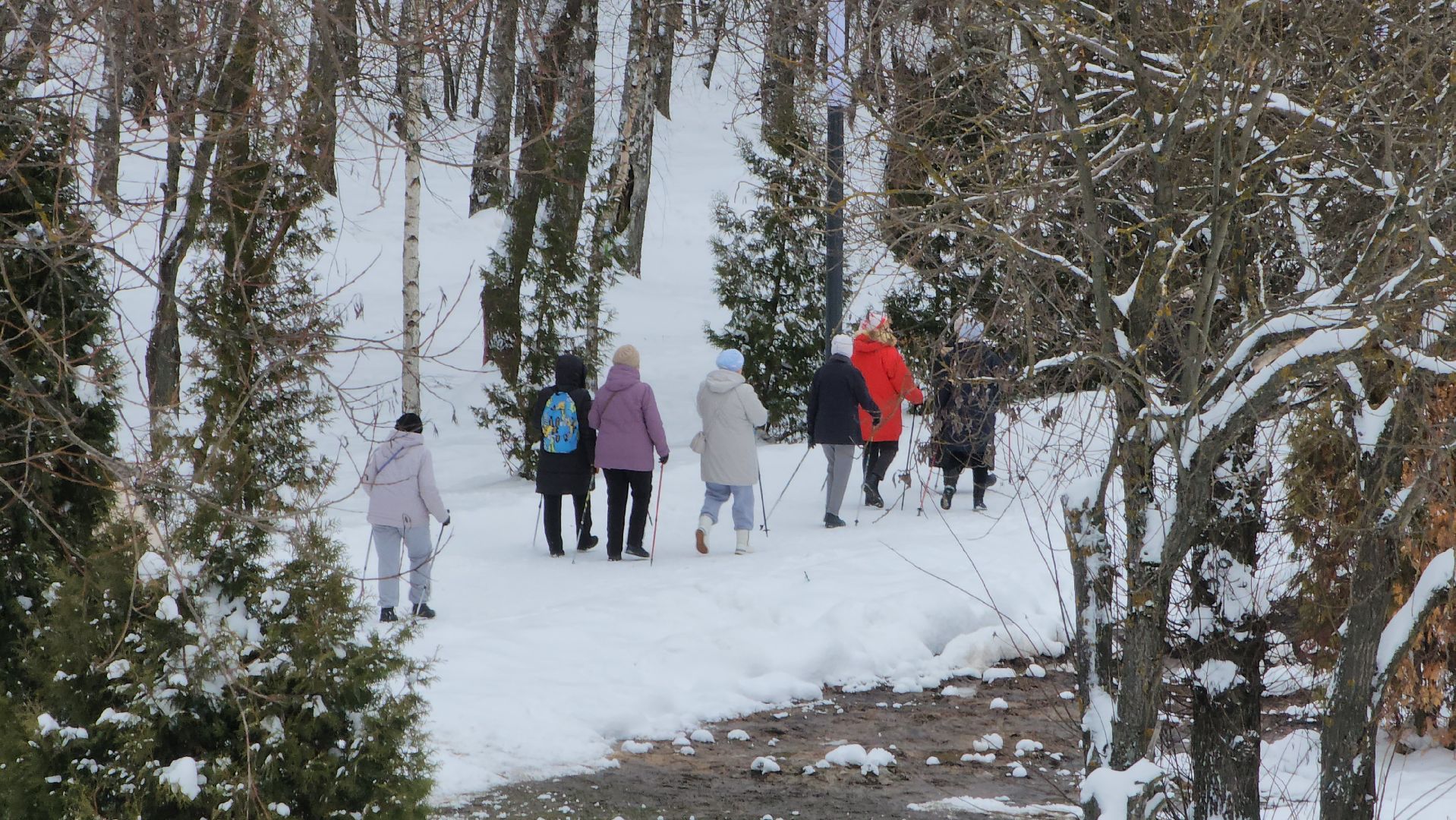 скандинавская ходьба, Мастер-класс, спорт на улице, Лобня,