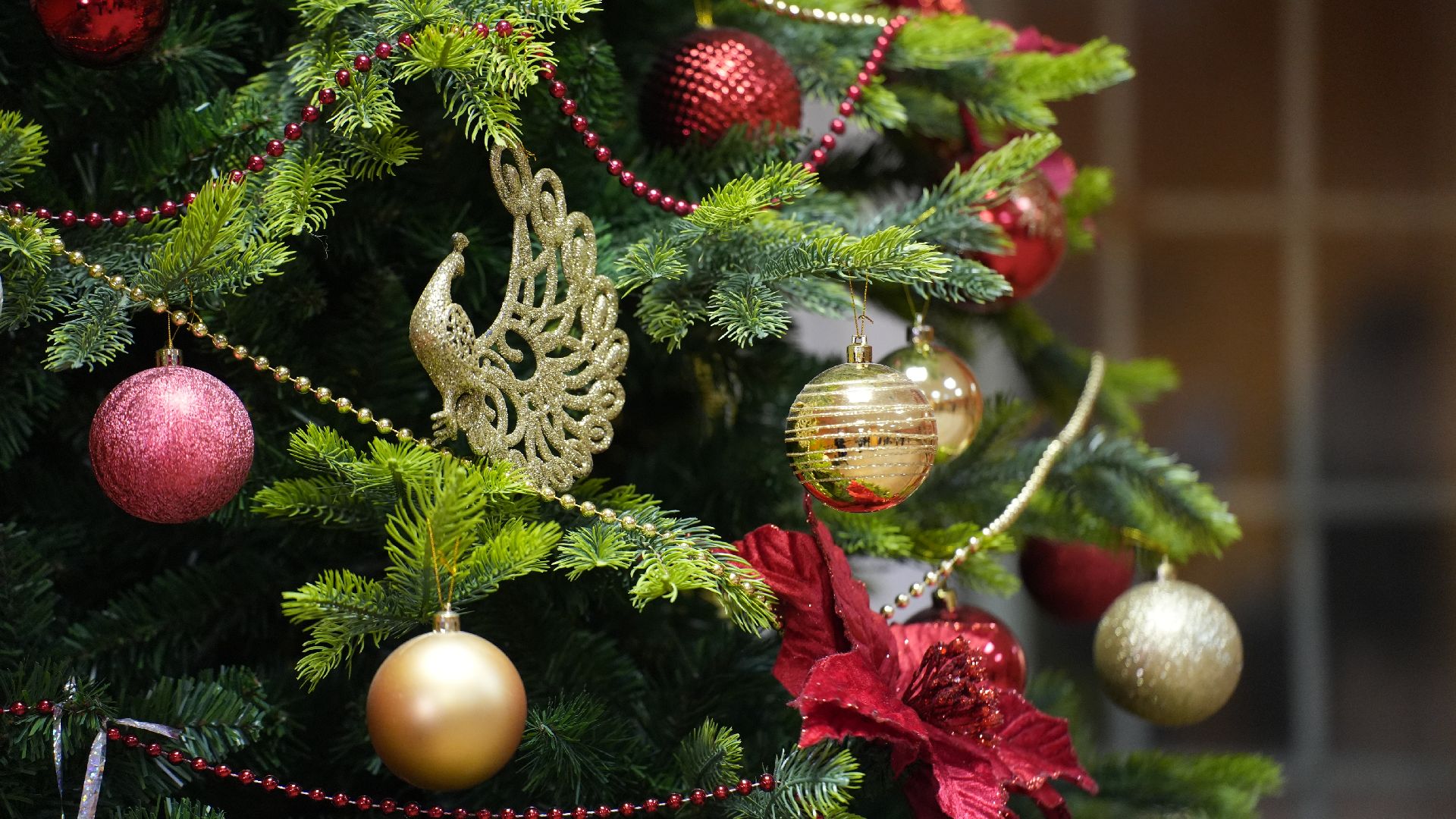 вертикалка, спектакль, благотворительный фонд,