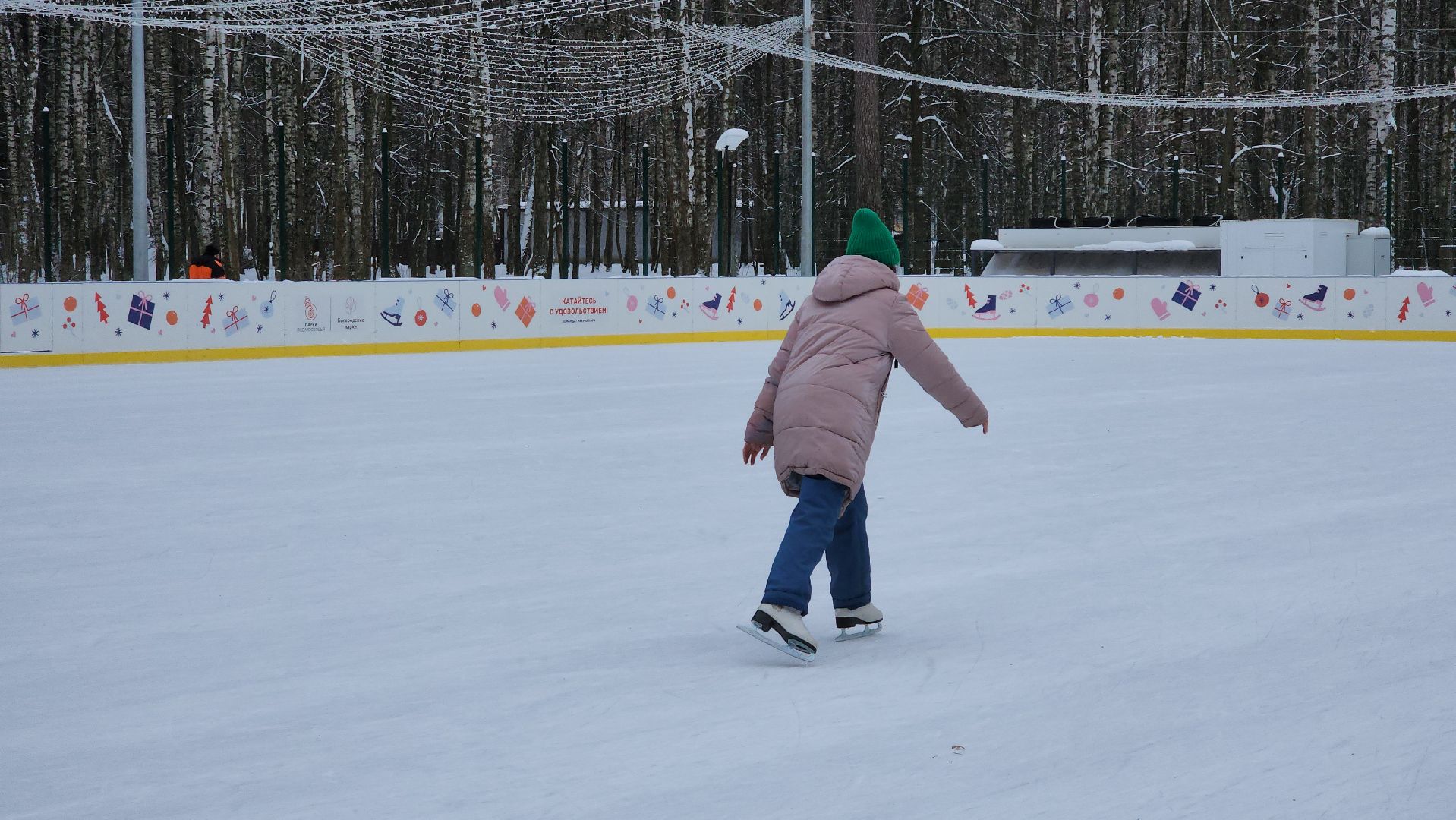 каток, зимние виды спорта, Центральный парк, Ногинск, Богородский городской округ, вертикалки