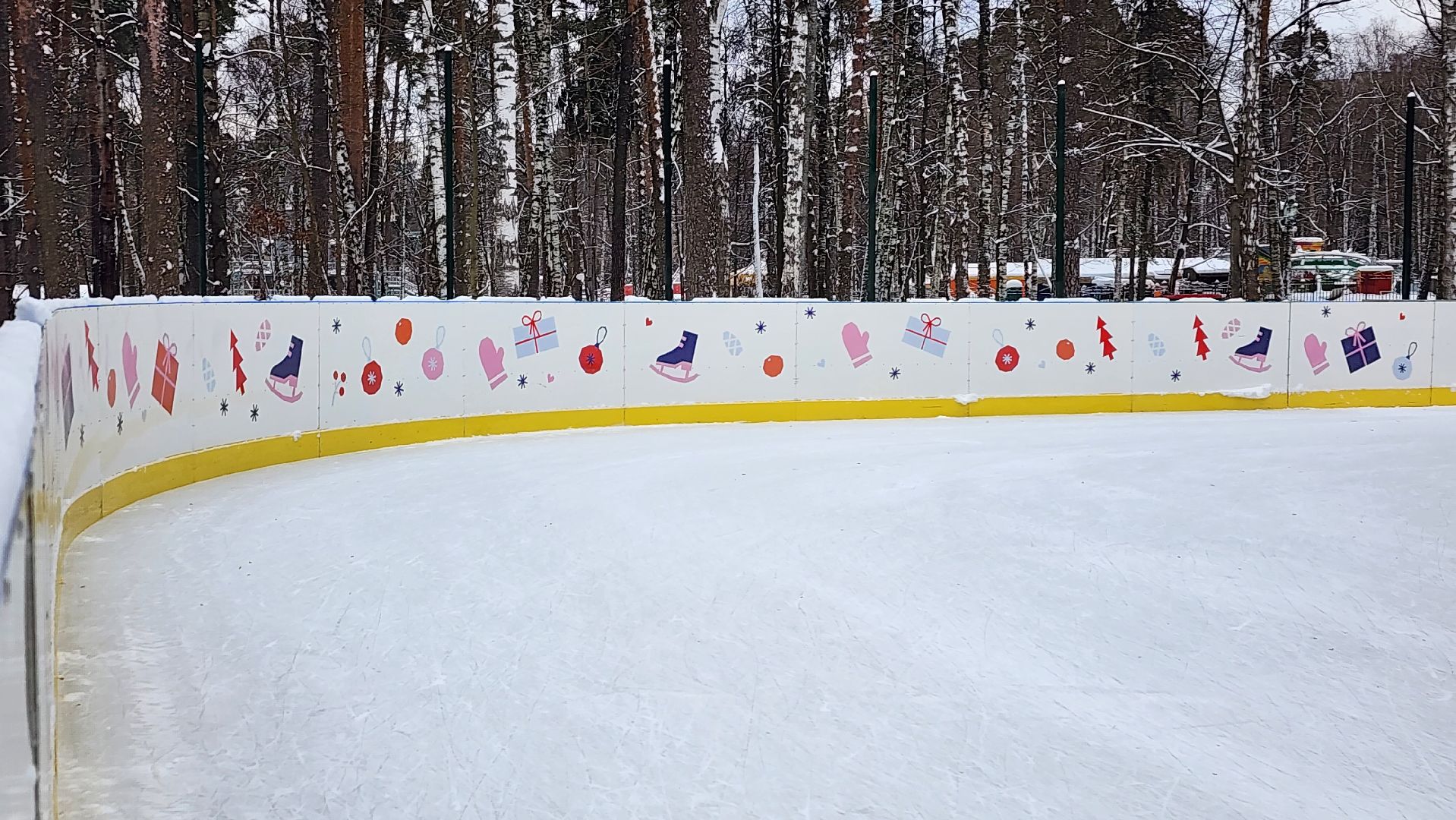 каток, зимние виды спорта, Центральный парк, Ногинск, Богородский городской округ, вертикалки