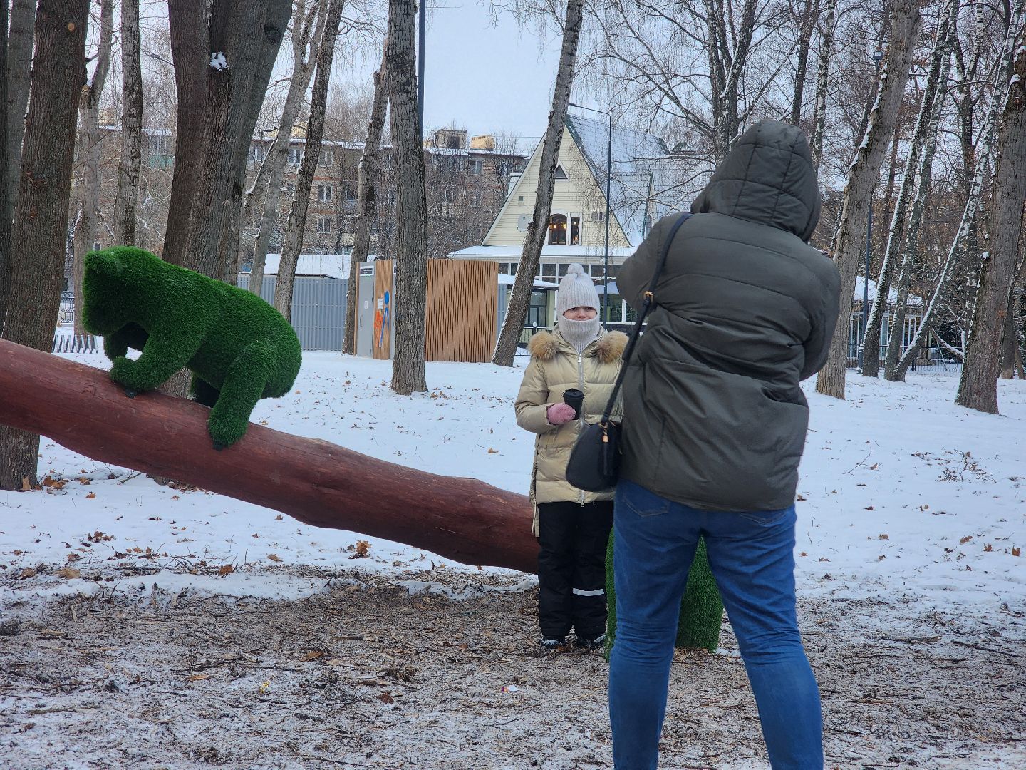 коломна, парк мира, новогоднее украшение, вертикалки,