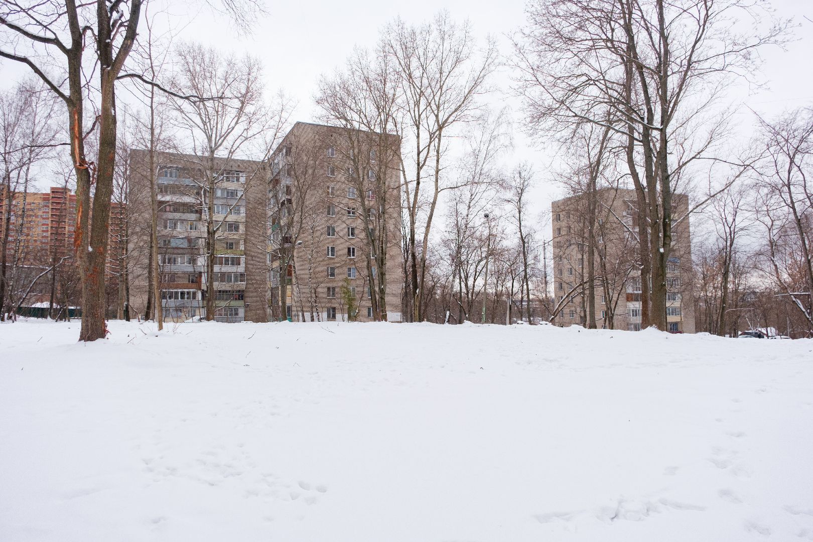 лыткарино, благоустройство, сквер, история, вертикалки,