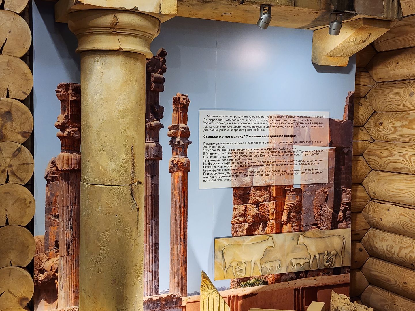 вертикалки, пушкино,