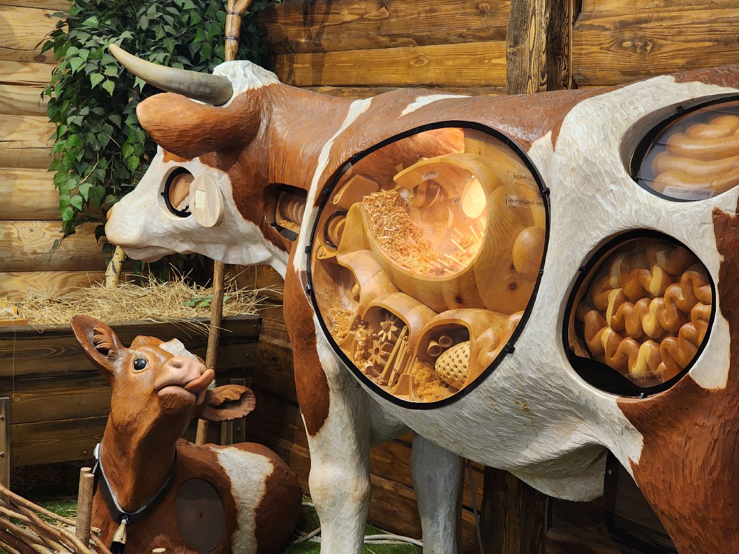 вертикалки, пушкино,