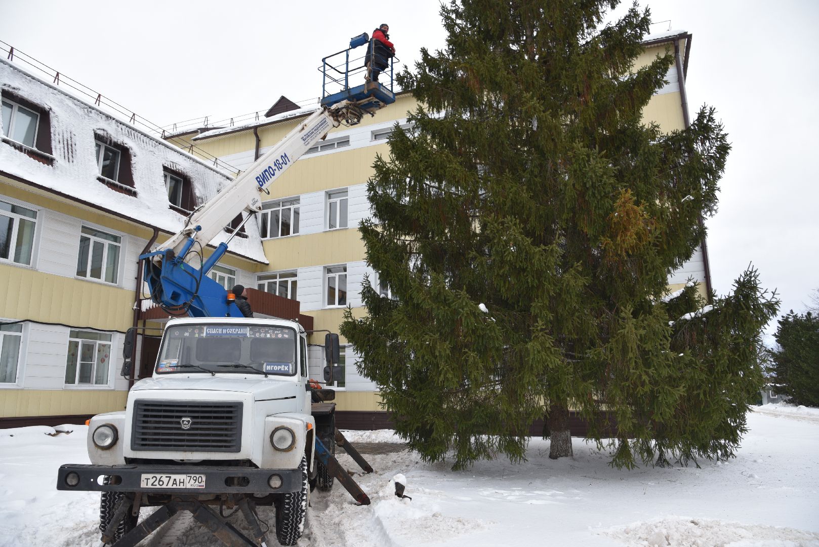 лотошино, лотошинская больница, новый год, ёлка, праздник, вертикалки,