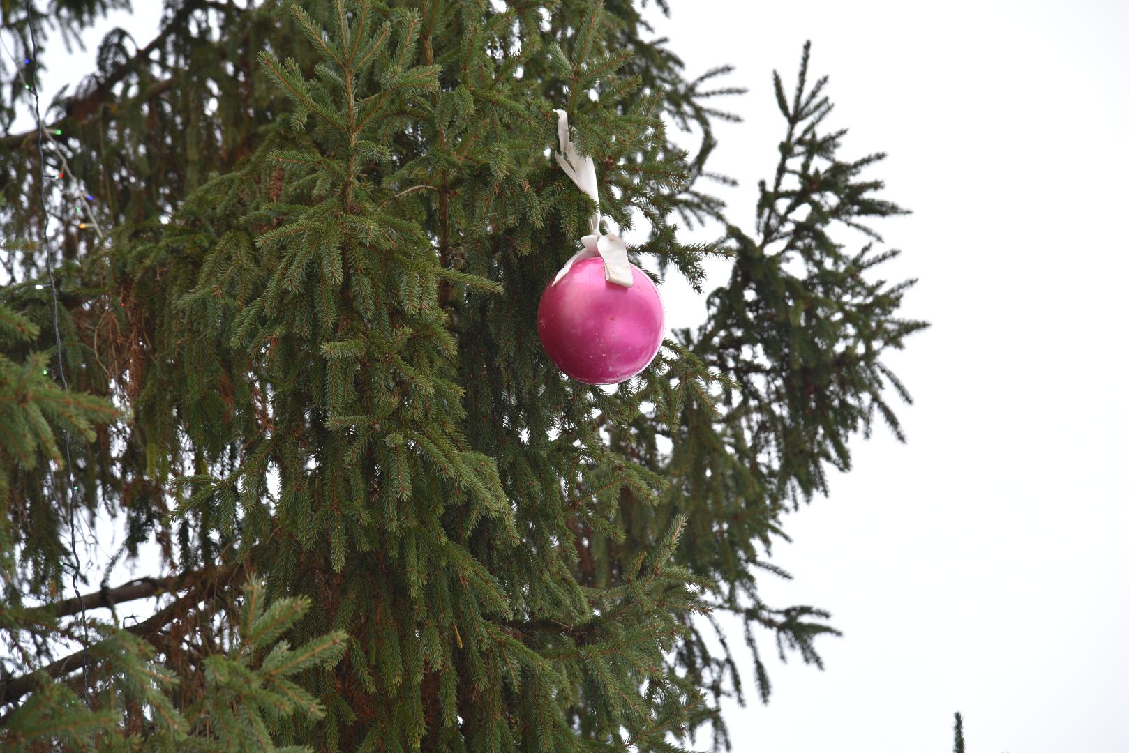 лотошино, лотошинская больница, новый год, ёлка, праздник, вертикалки,
