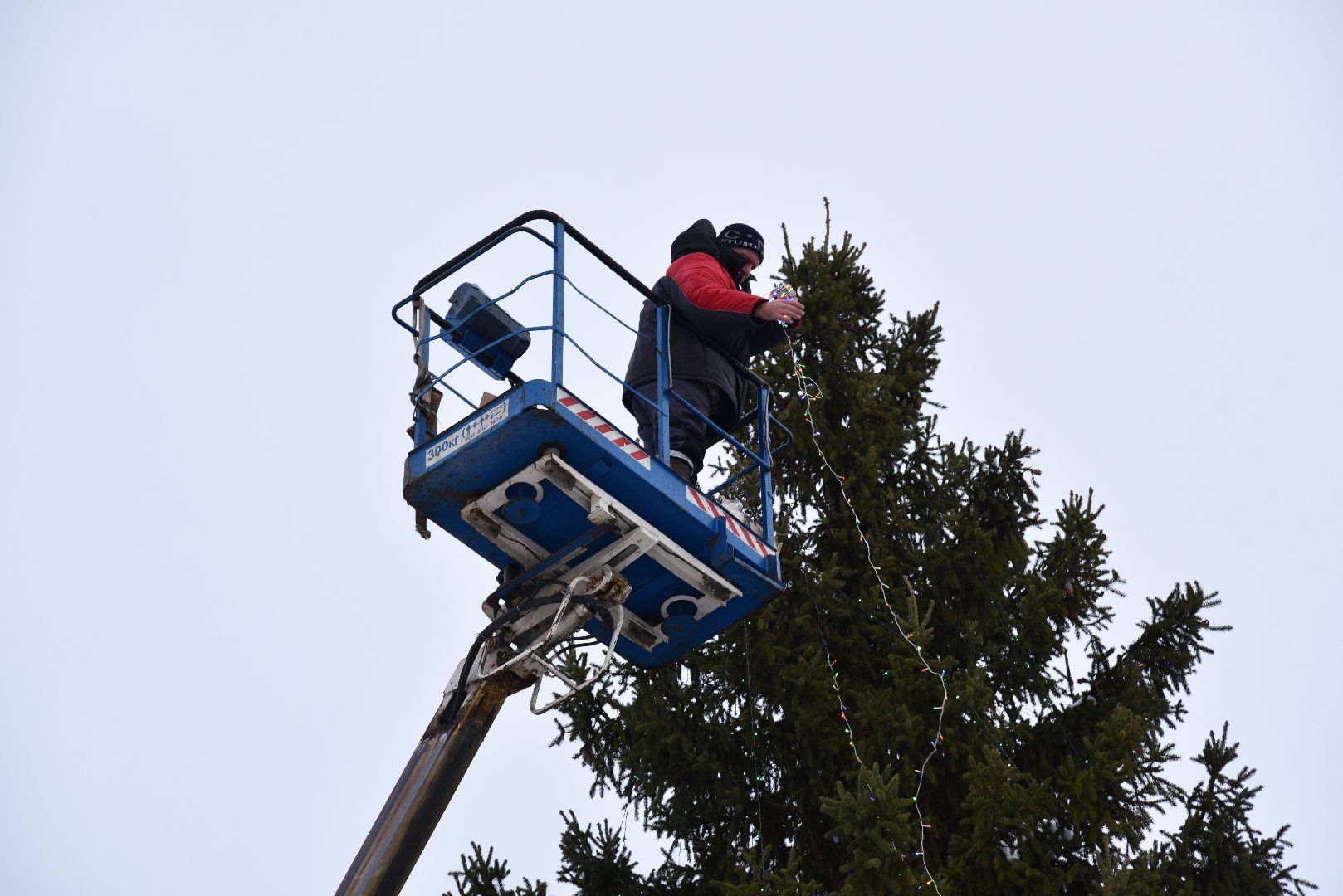 лотошино, лотошинская больница, новый год, ёлка, праздник, вертикалки,