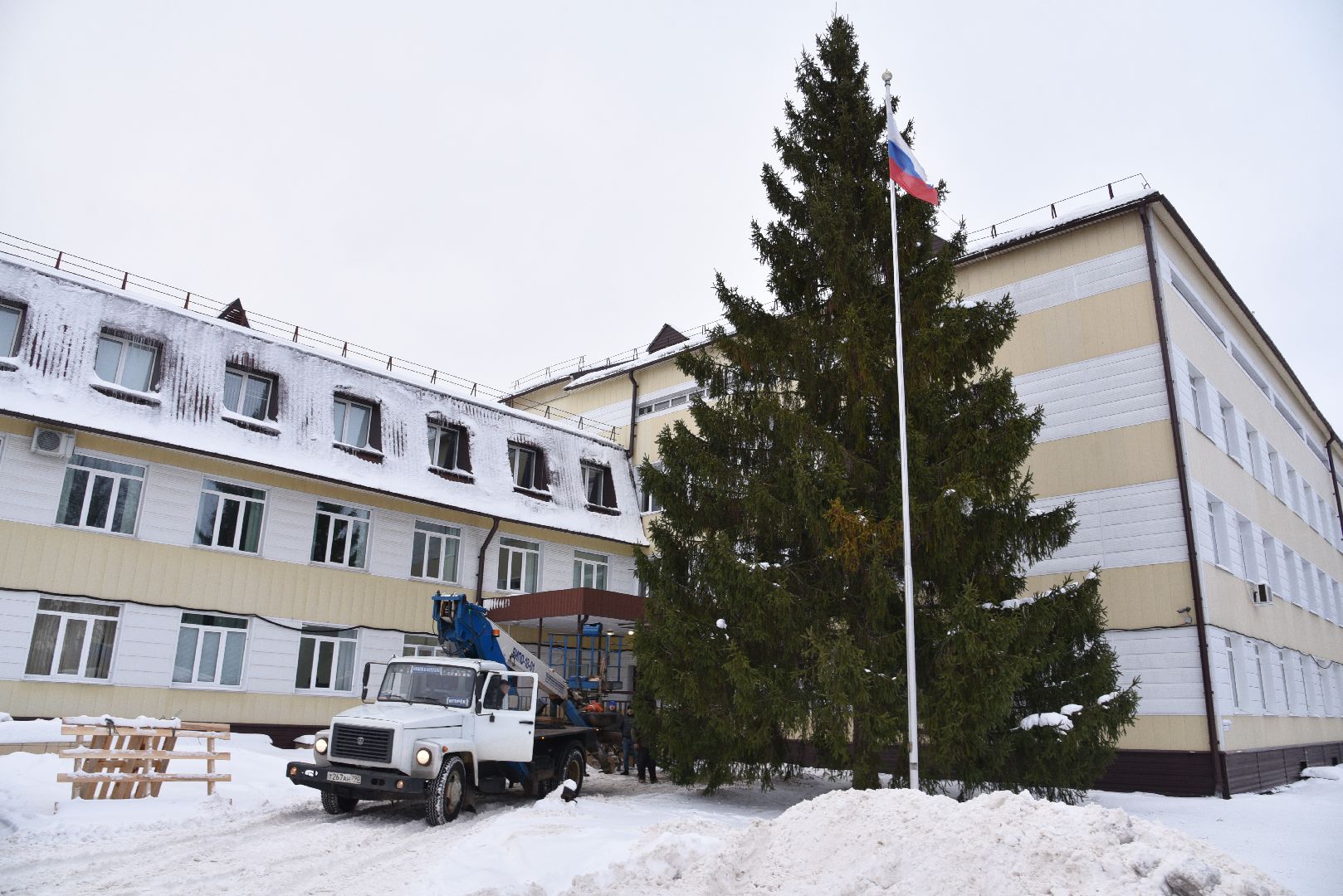 лотошино, лотошинская больница, новый год, ёлка, праздник, вертикалки,