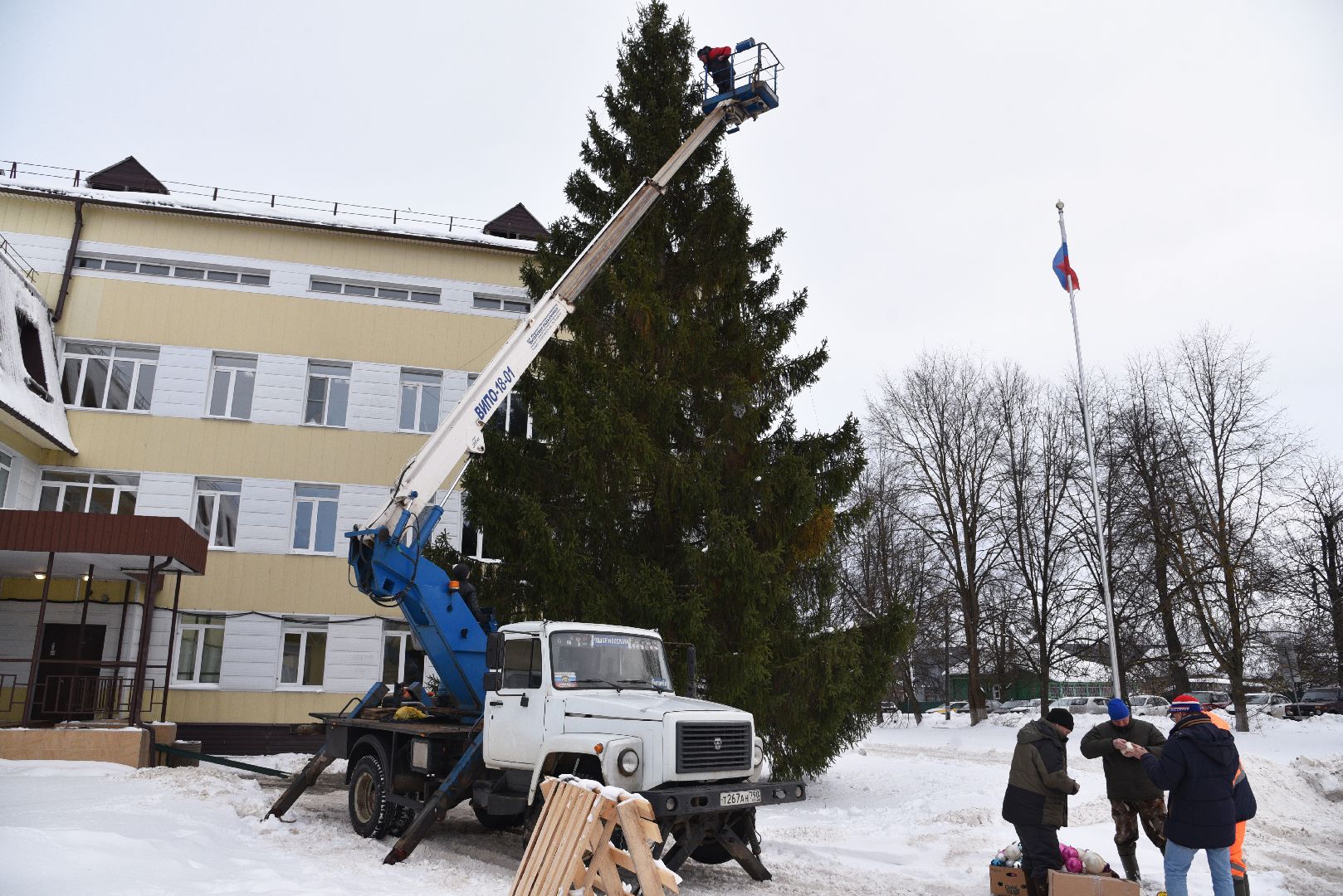лотошино, лотошинская больница, новый год, ёлка, праздник, вертикалки,