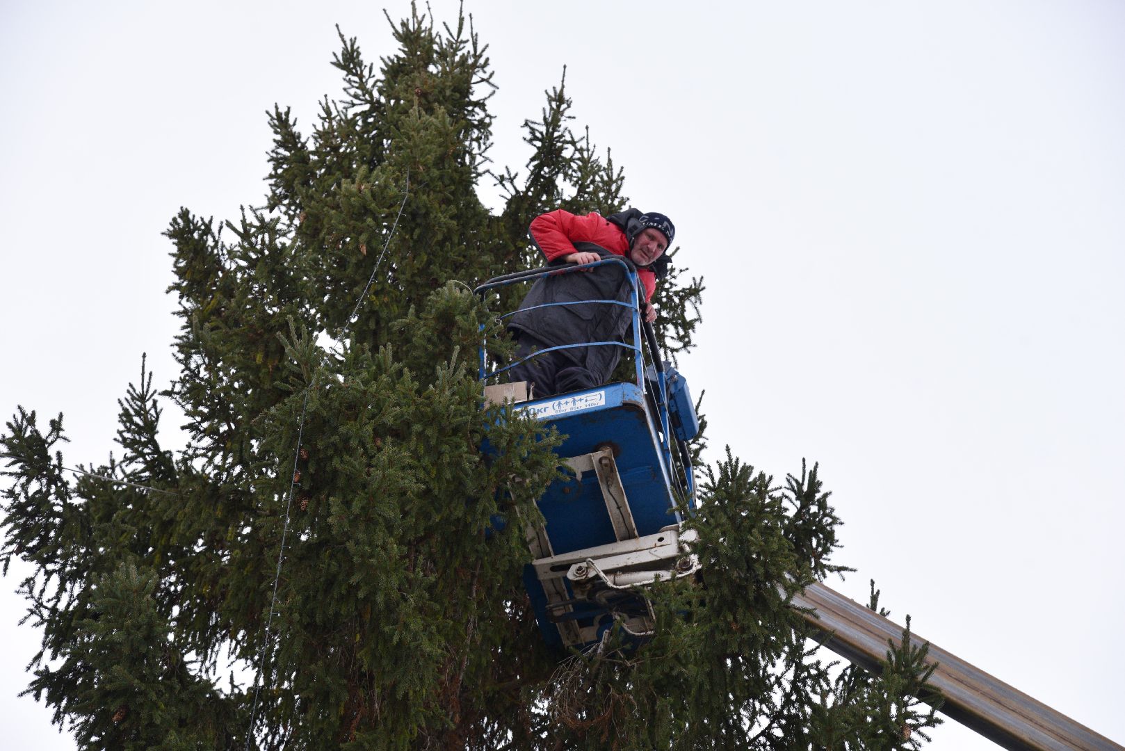 лотошино, лотошинская больница, новый год, ёлка, праздник, вертикалки,