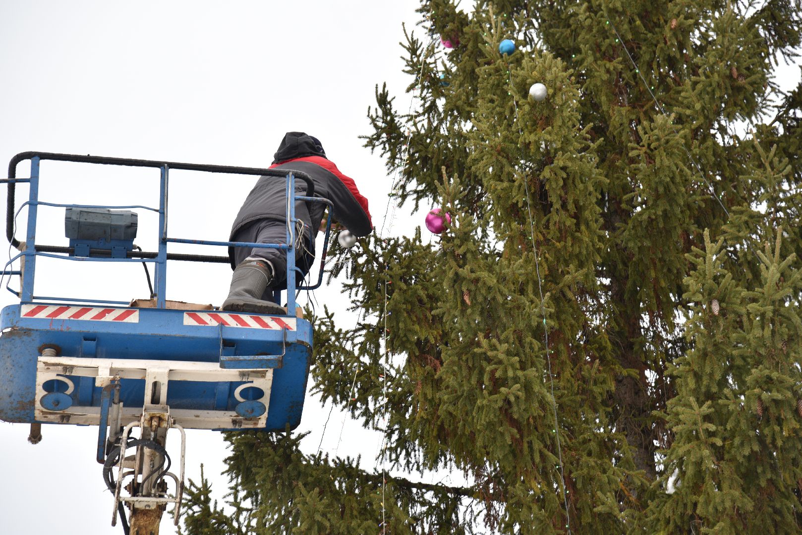 лотошино, лотошинская больница, новый год, ёлка, праздник, вертикалки,
