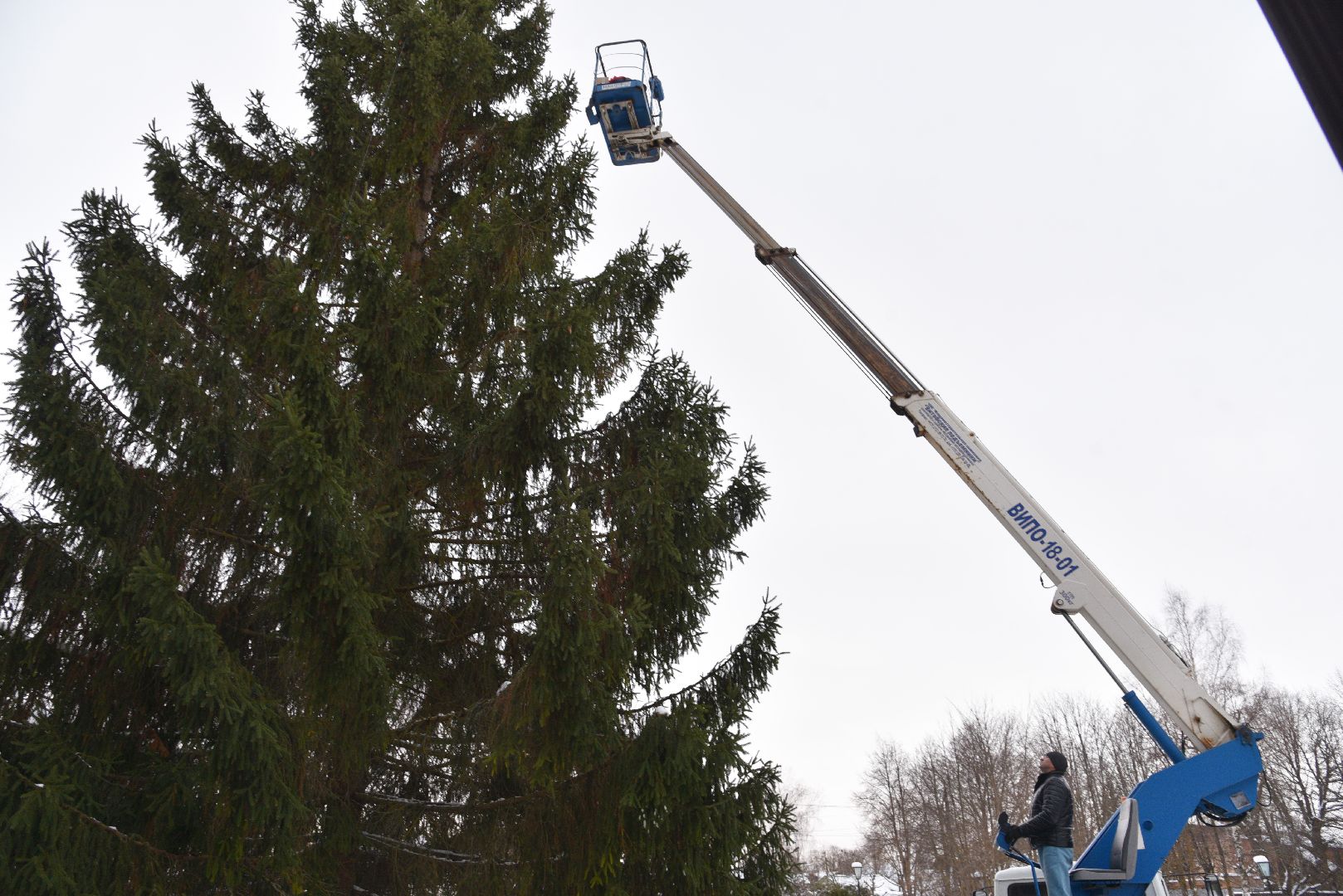 лотошино, лотошинская больница, новый год, ёлка, праздник, вертикалки,