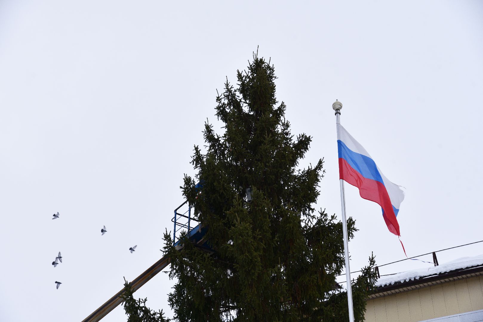 лотошино, лотошинская больница, новый год, ёлка, праздник, вертикалки,