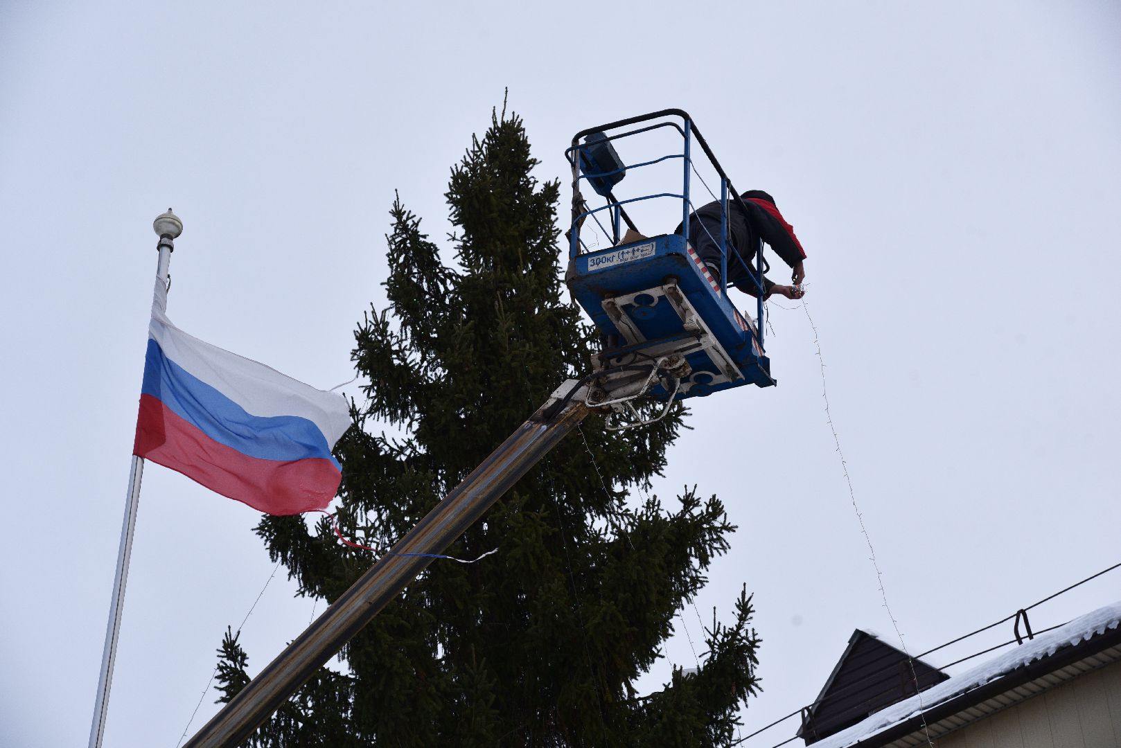 лотошино, лотошинская больница, новый год, ёлка, праздник, вертикалки,