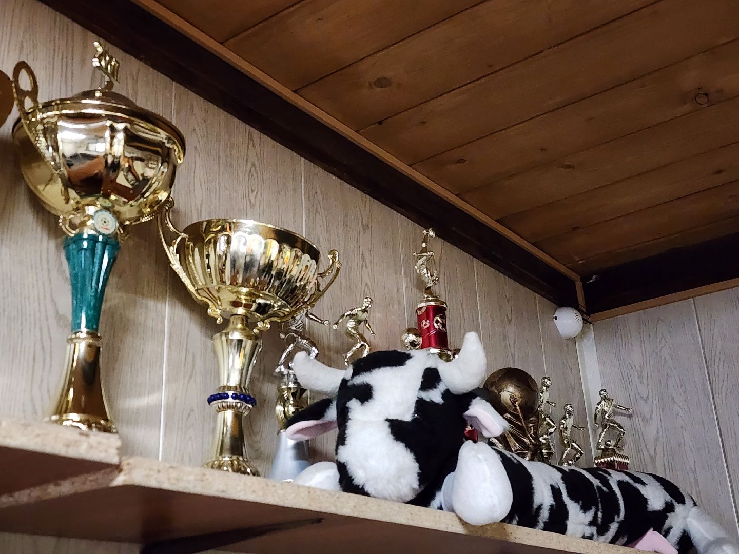 вертикалки, пушкино,