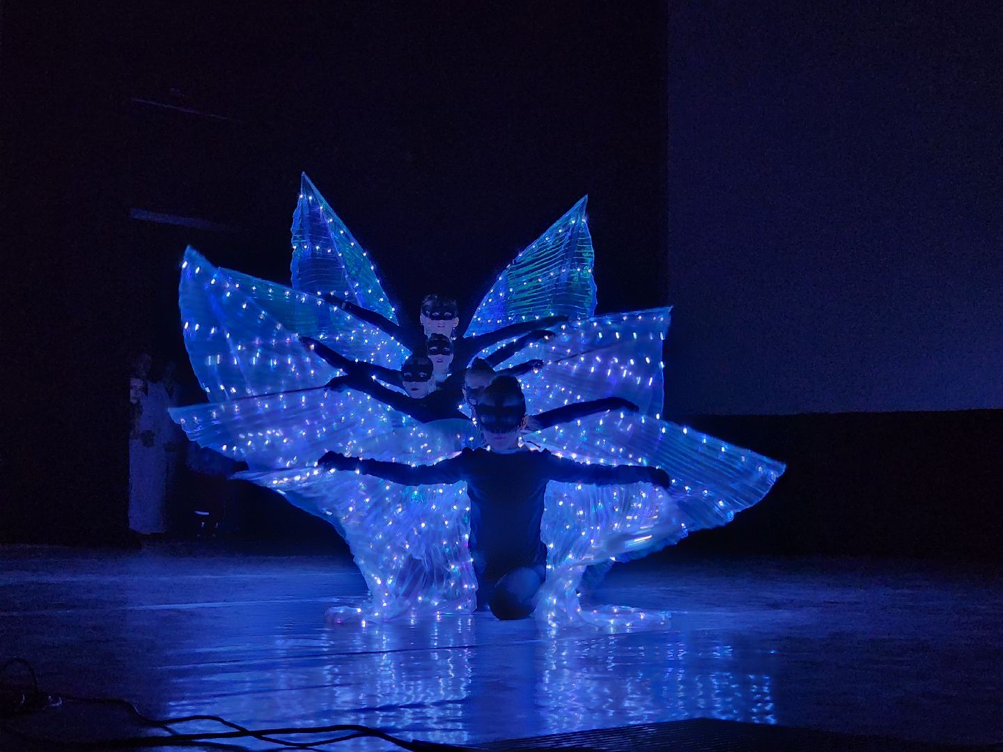 подольск, награды, триумф, спорт,