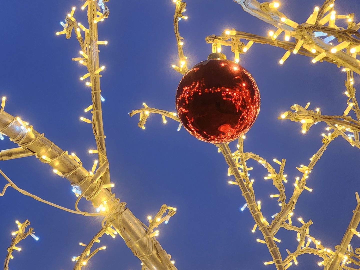 коломна, благоустройство, подготовка к новому году, новогоднее украшение, новогодняя елка, вертикалки,