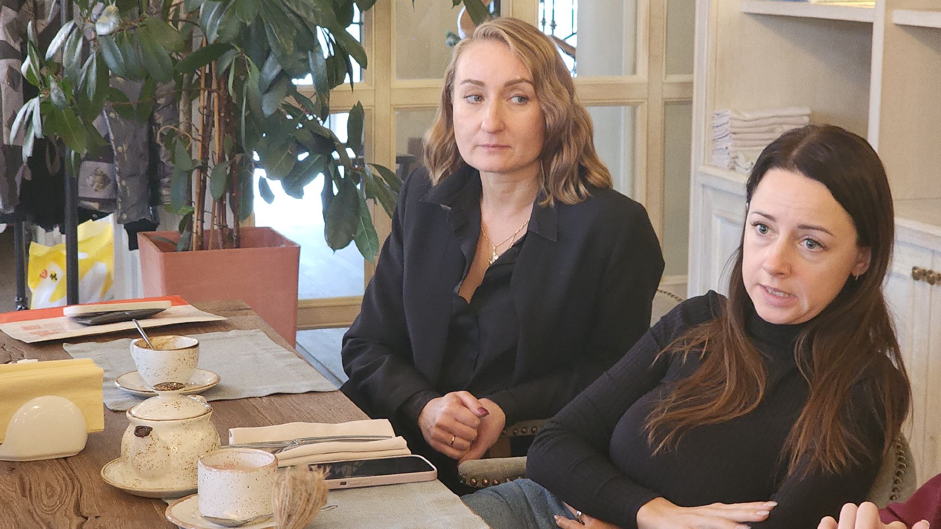 вертикалки, пушкино, нежный бизнес, деловая игра, встреча, предпринимательство, бизнес подмосковья,