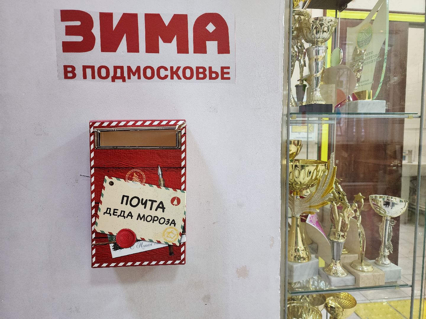 новый год, украшения, центр культуры и отдыха, зима в подмосковье, вертикалки,