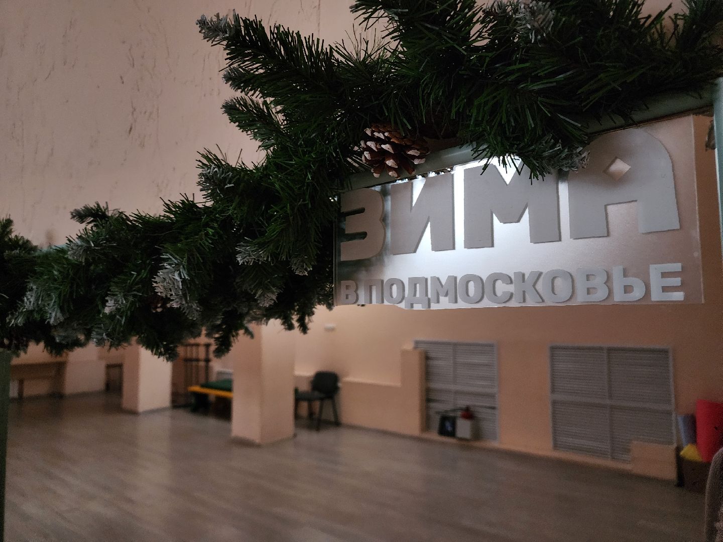 новый год, украшения, центр культуры и отдыха, зима в подмосковье, вертикалки,