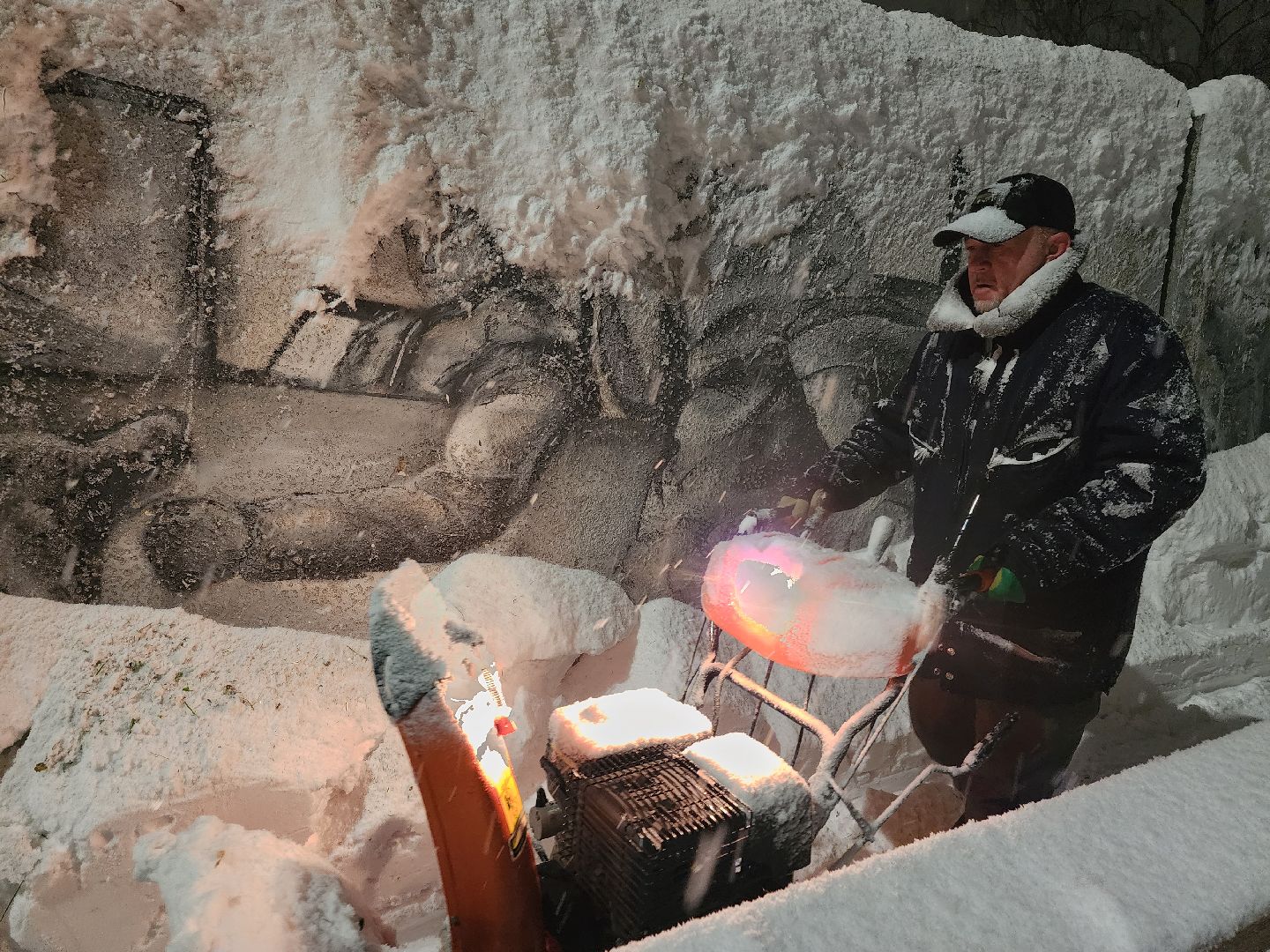 долгопрудный, кинологи, конкурс благоустройства, новый год, гирлянды, вертикалки,