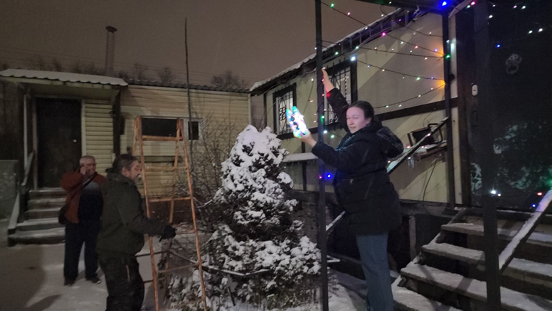 долгопрудный, кинологи, конкурс благоустройства, новый год, гирлянды, вертикалки,