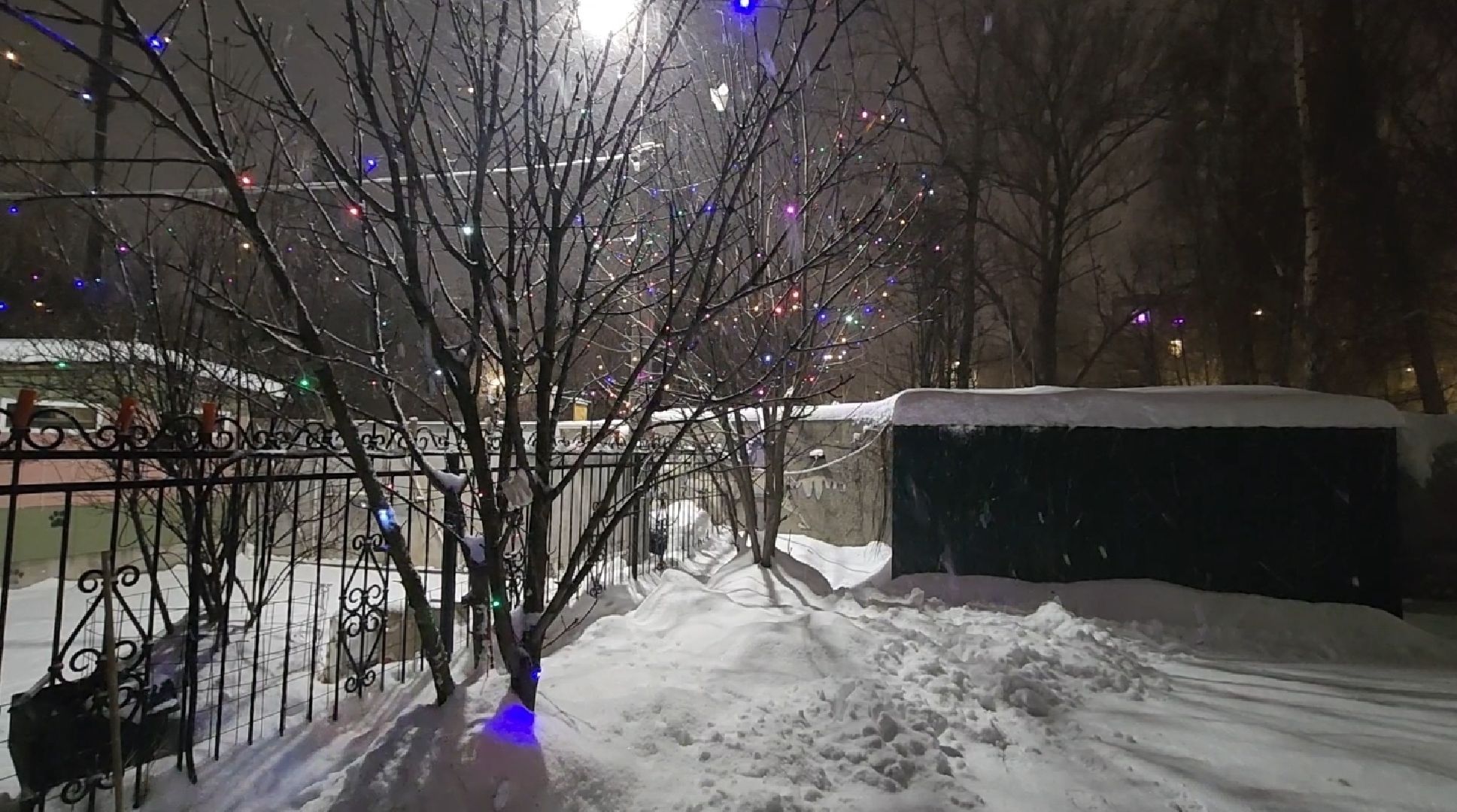 долгопрудный, кинологи, конкурс благоустройства, новый год, гирлянды, вертикалки,