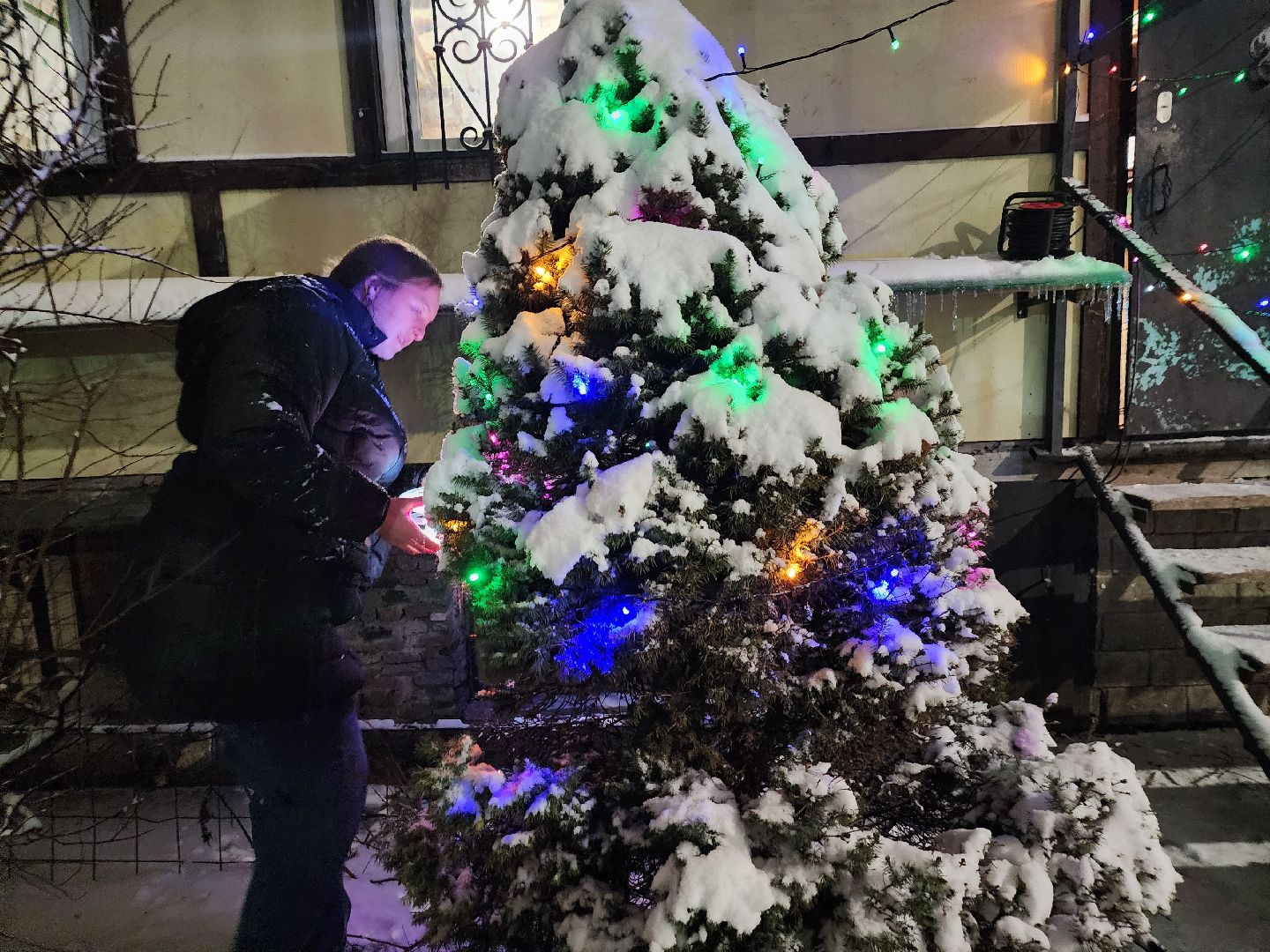 долгопрудный, кинологи, конкурс благоустройства, новый год, гирлянды, вертикалки,