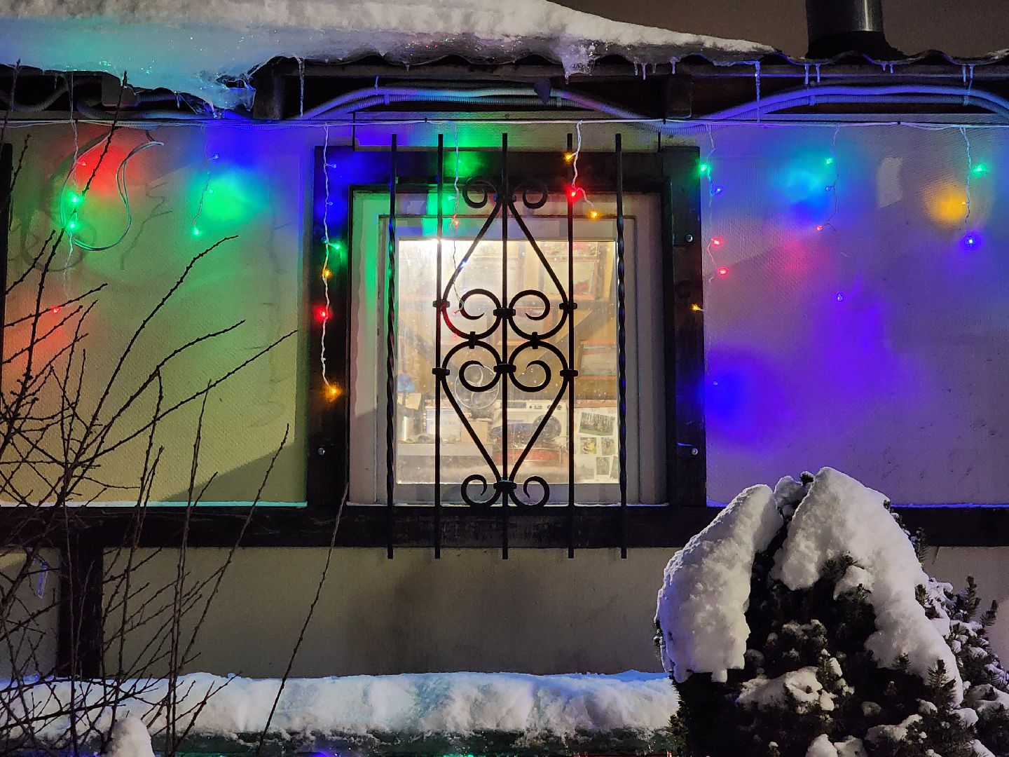 долгопрудный, кинологи, конкурс благоустройства, новый год, гирлянды, вертикалки,