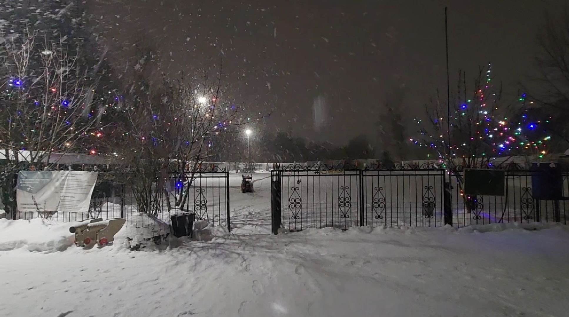 долгопрудный, кинологи, конкурс благоустройства, новый год, гирлянды, вертикалки,