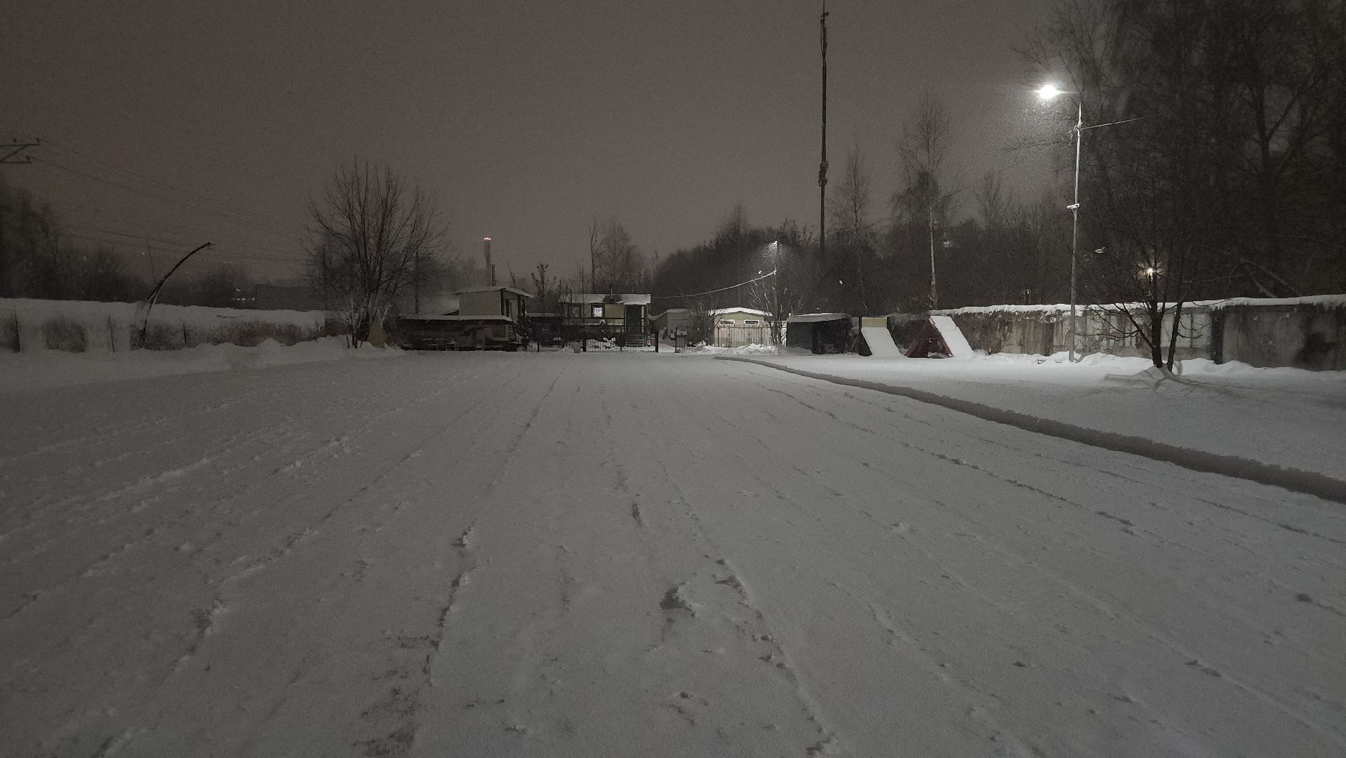 долгопрудный, кинологи, конкурс благоустройства, новый год, гирлянды, вертикалки,