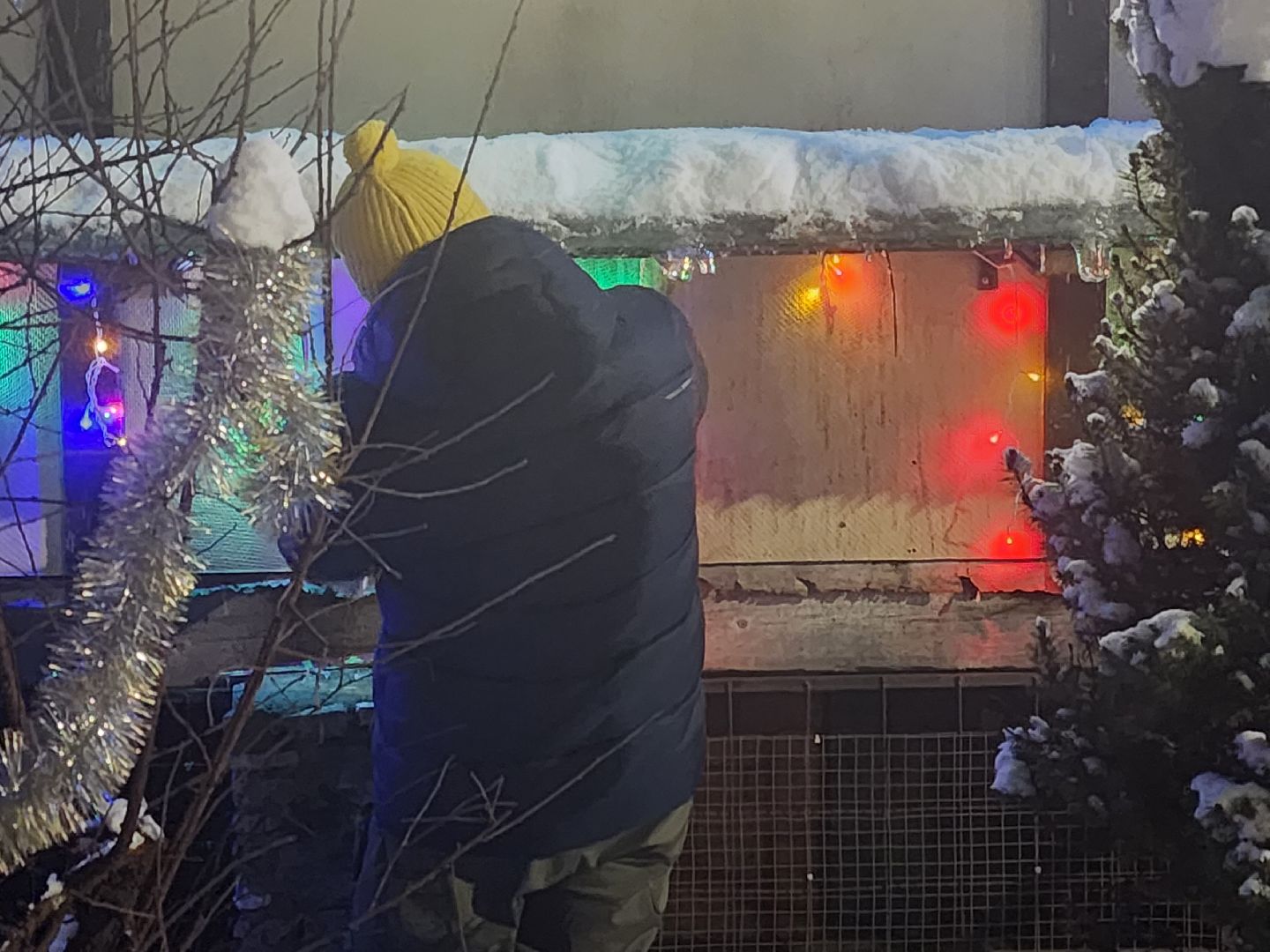 долгопрудный, кинологи, конкурс благоустройства, новый год, гирлянды, вертикалки,