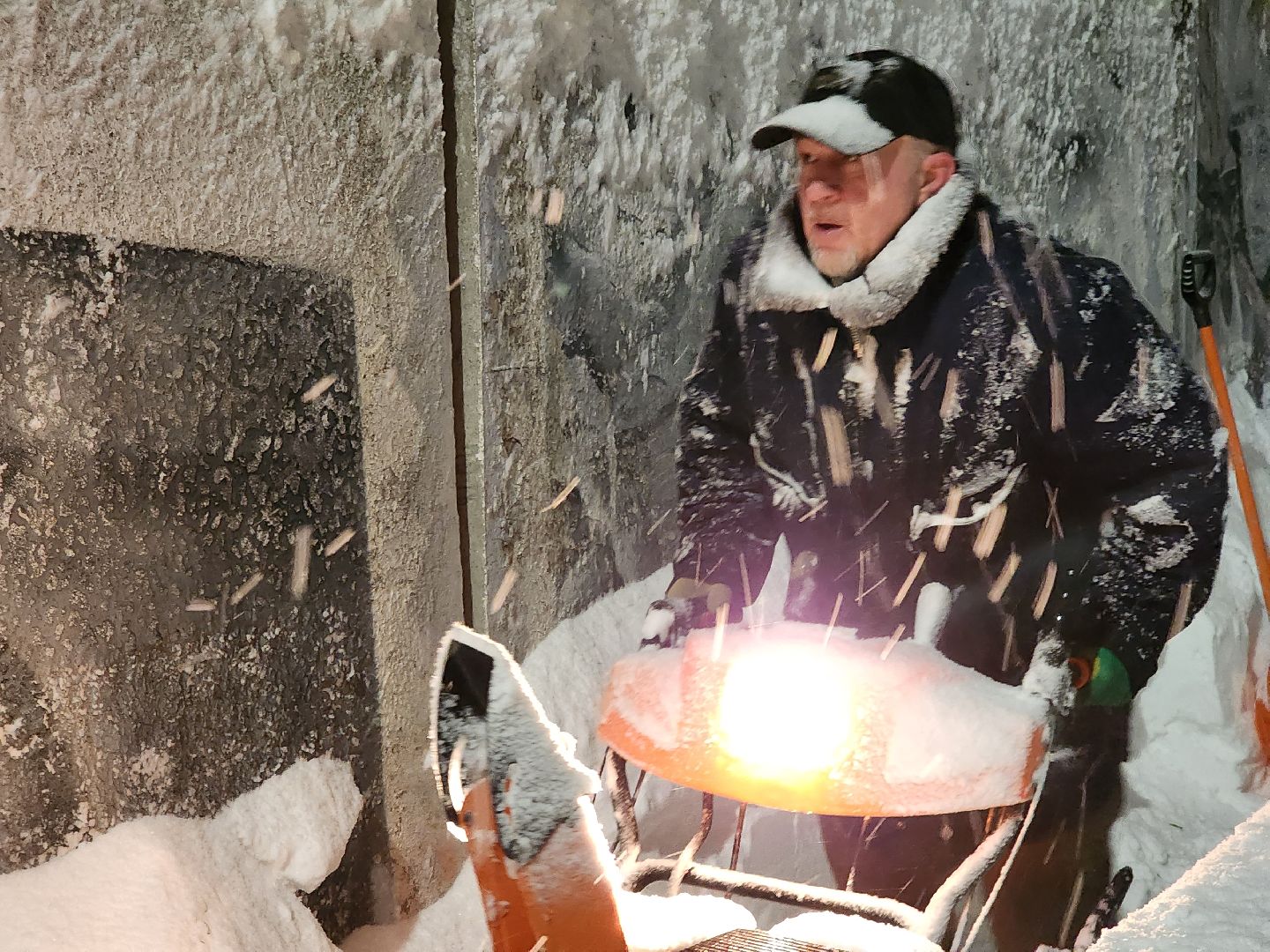 долгопрудный, кинологи, конкурс благоустройства, новый год, гирлянды, вертикалки,