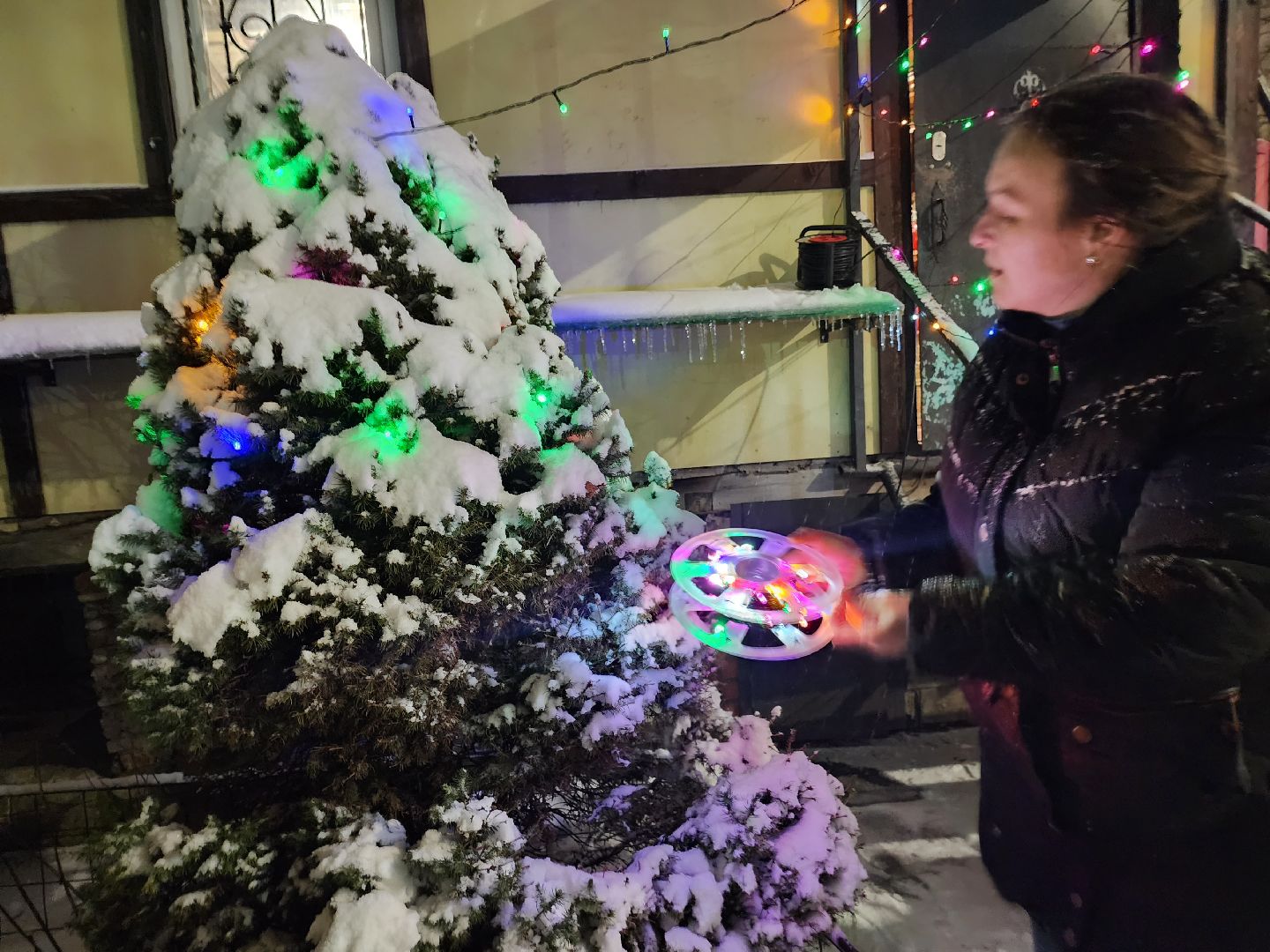 долгопрудный, кинологи, конкурс благоустройства, новый год, гирлянды, вертикалки,