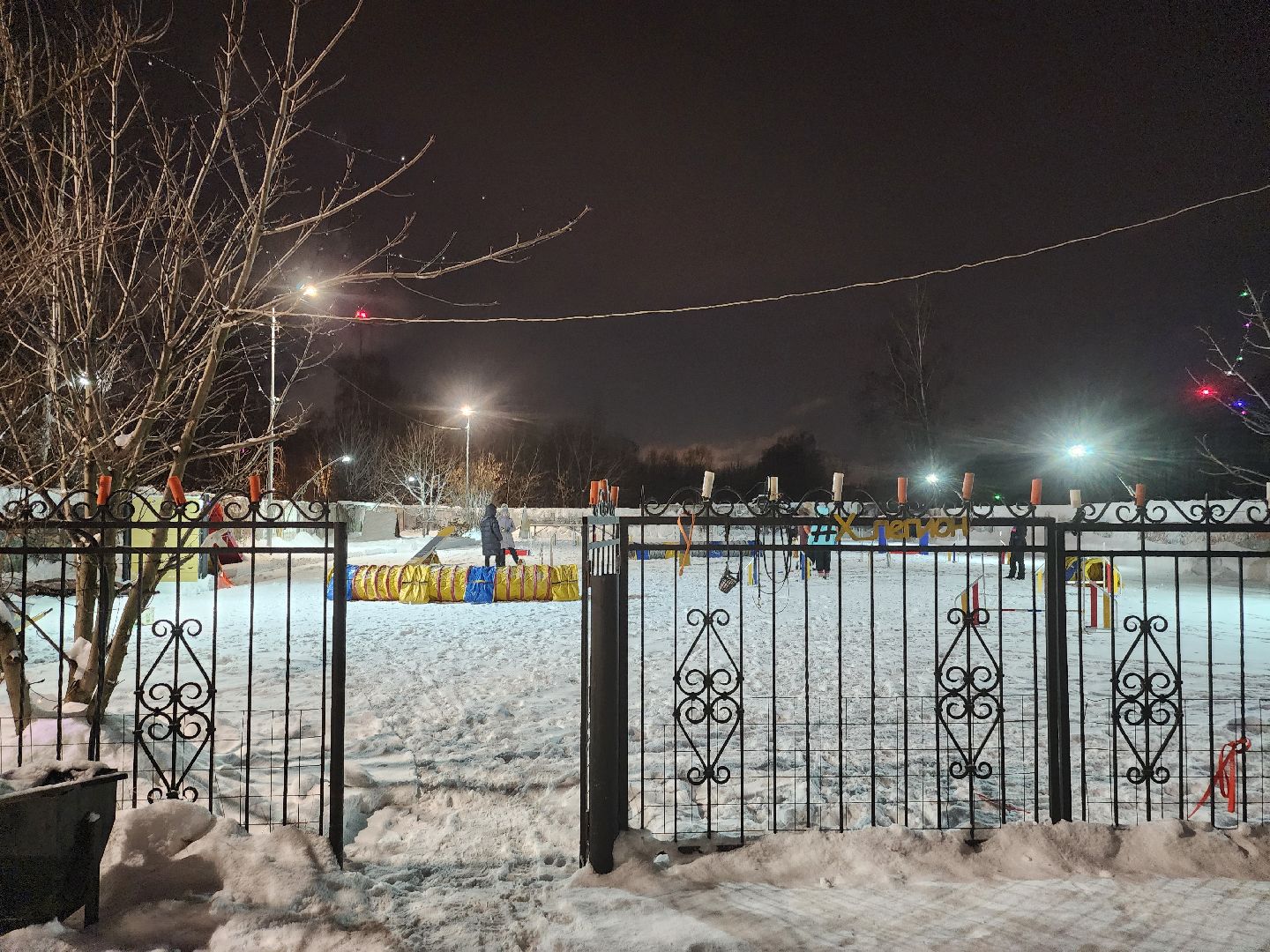 долгопрудный, кинологи, конкурс благоустройства, новый год, гирлянды, вертикалки,