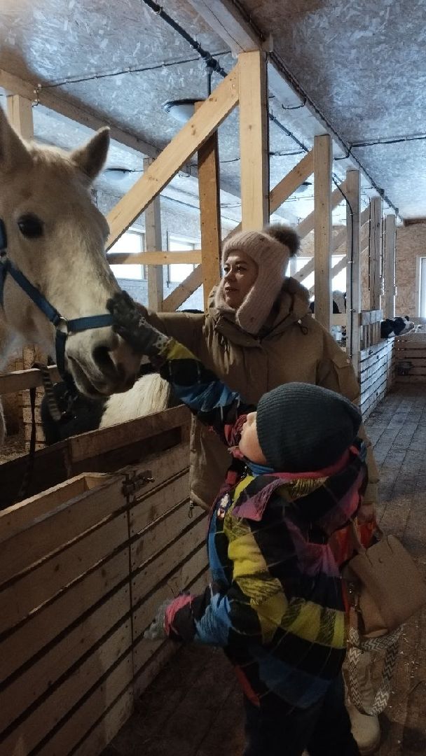 вертикалки, пушкино, экологический проект, животные, дети, спектакль, традиции, ферма,