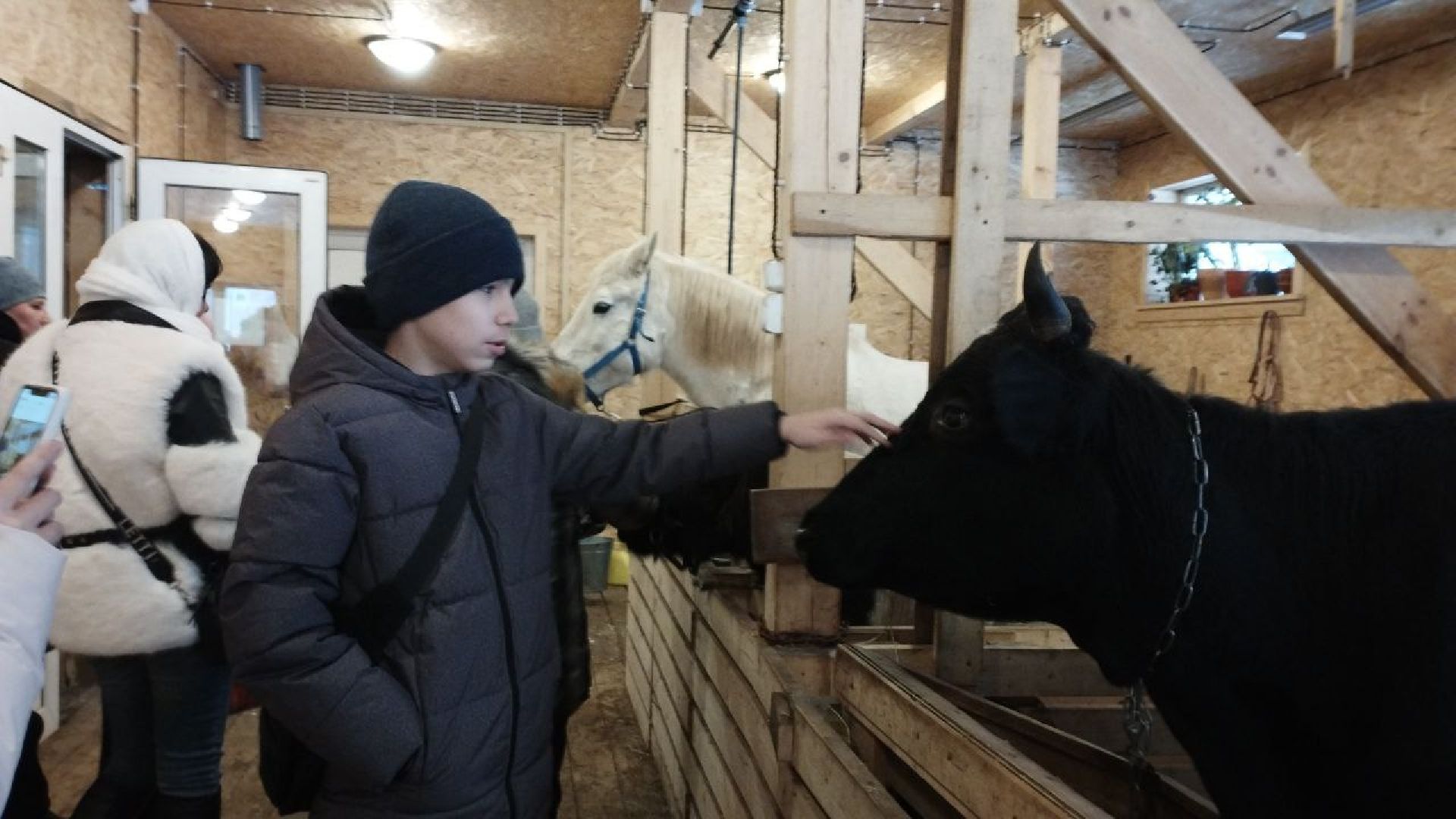 вертикалки, пушкино, экологический проект, животные, дети, спектакль, традиции, ферма,