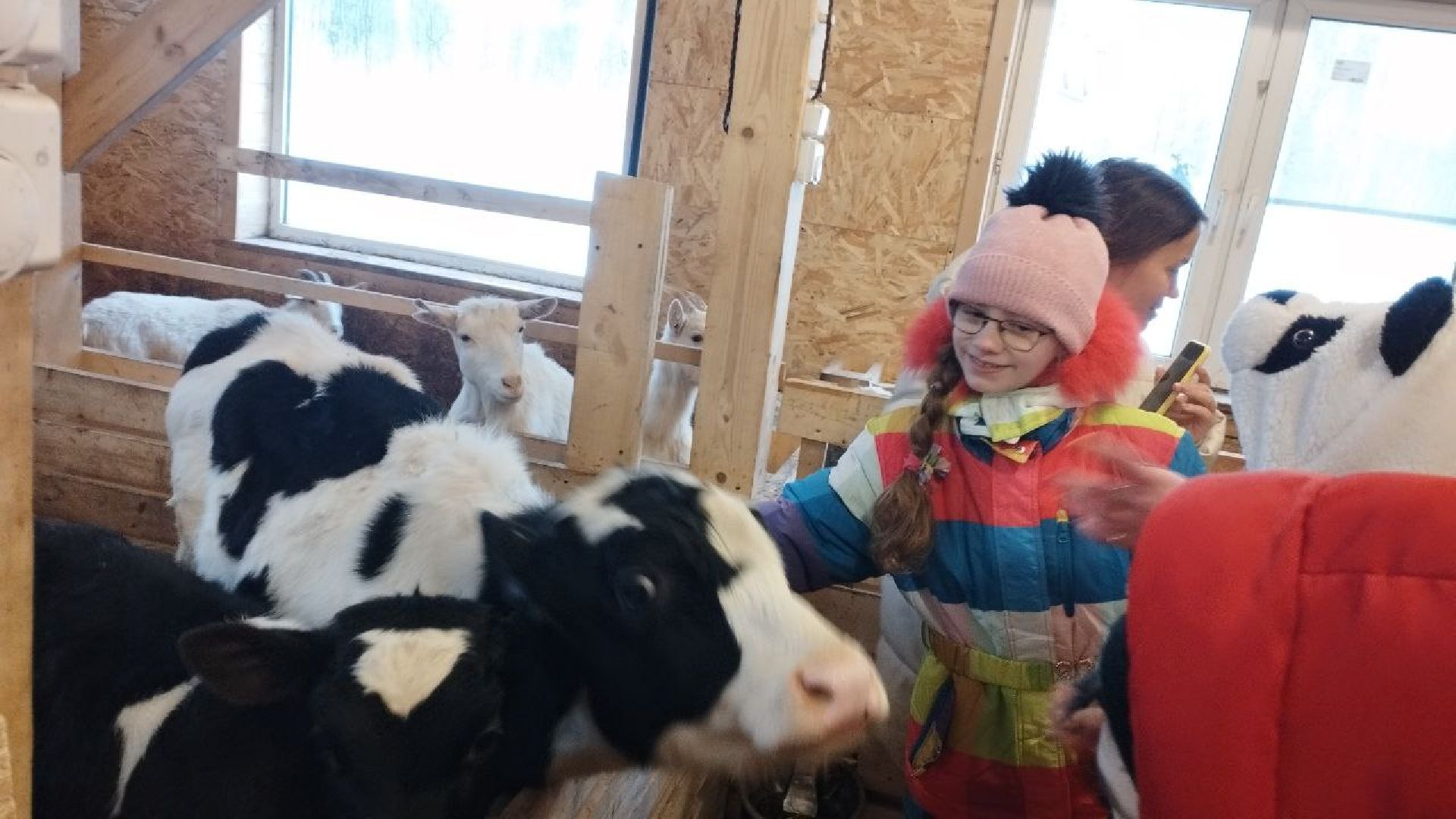 вертикалки, пушкино, экологический проект, животные, дети, спектакль, традиции, ферма,